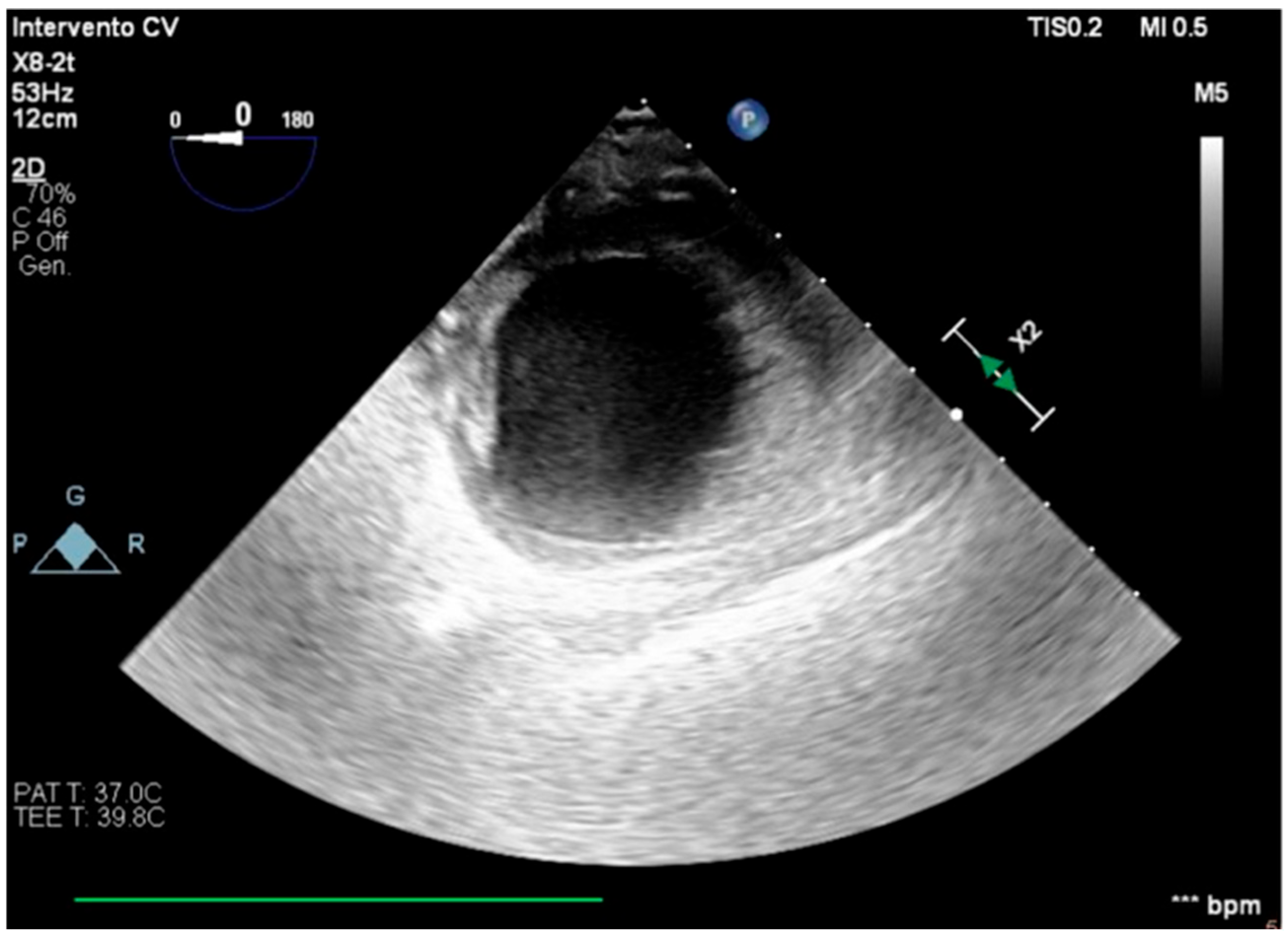 Healthcare 13 03006 g002