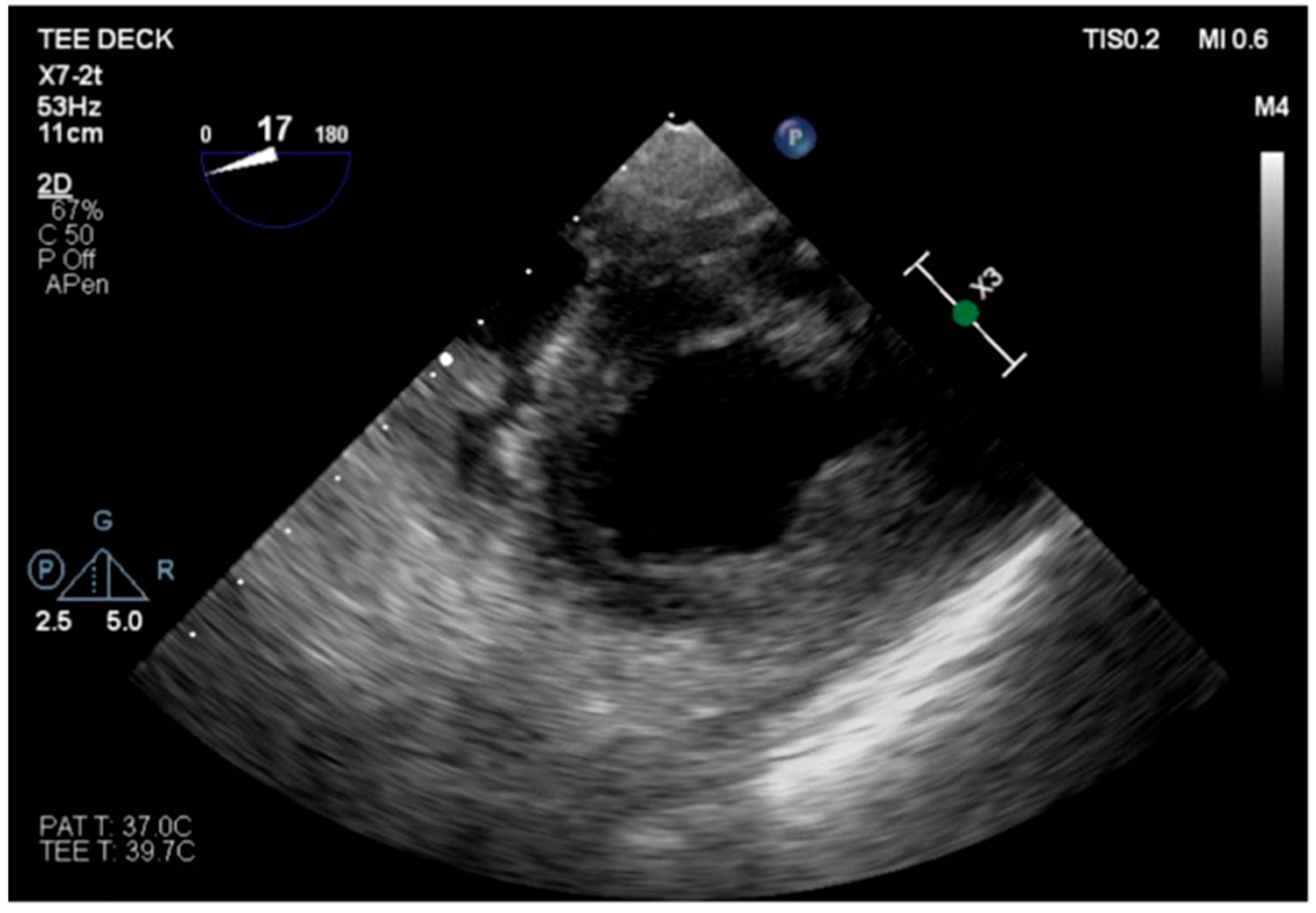Healthcare 13 03006 g003
