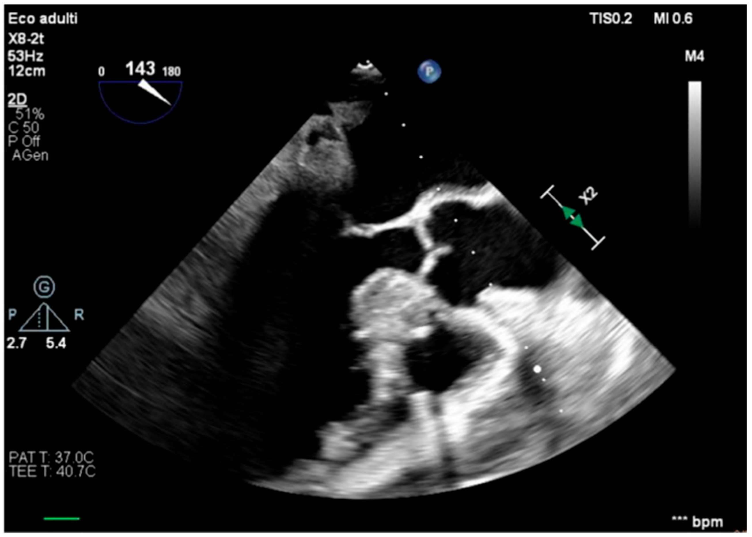 Healthcare 13 03006 g004