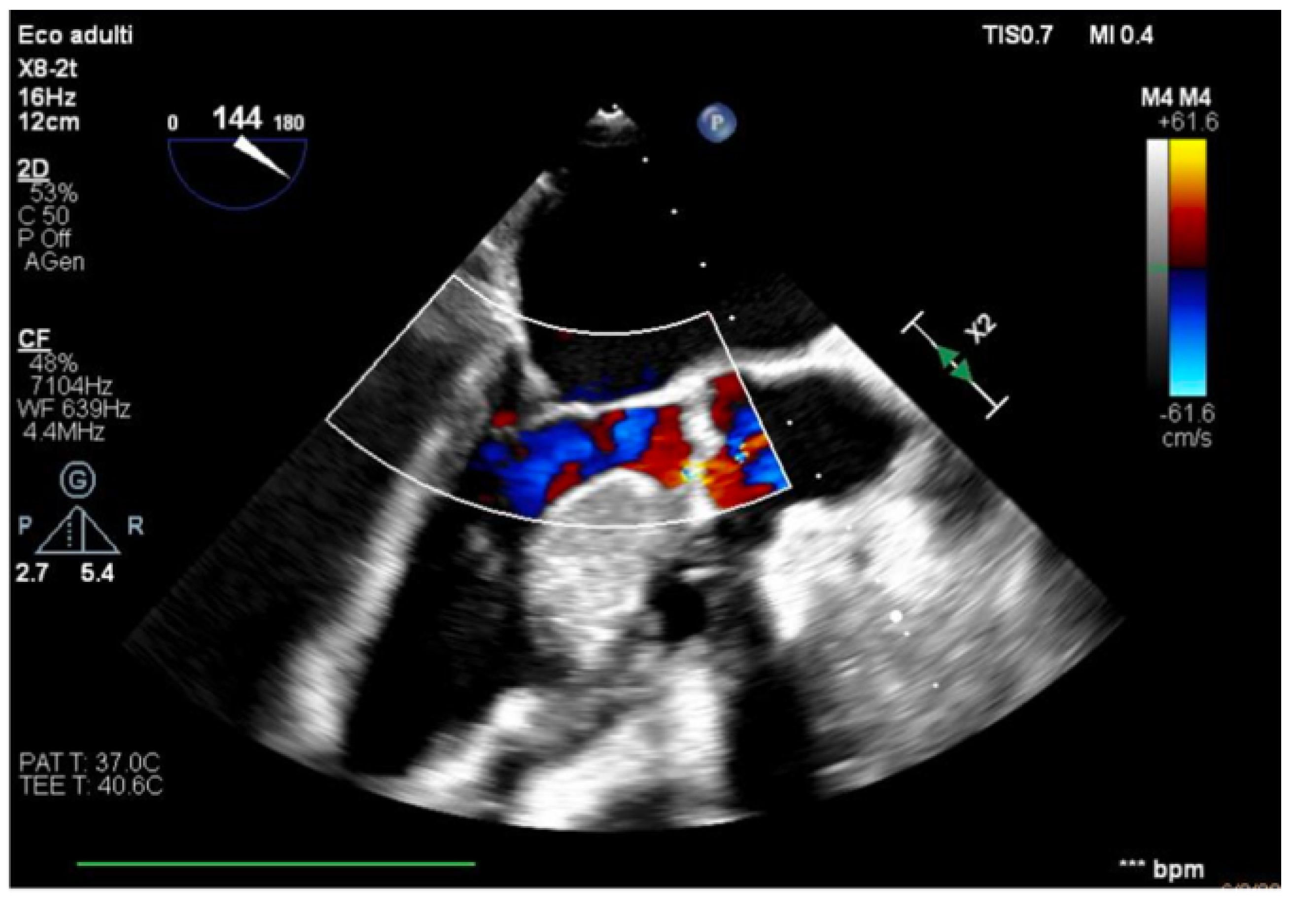 Healthcare 13 03006 g005