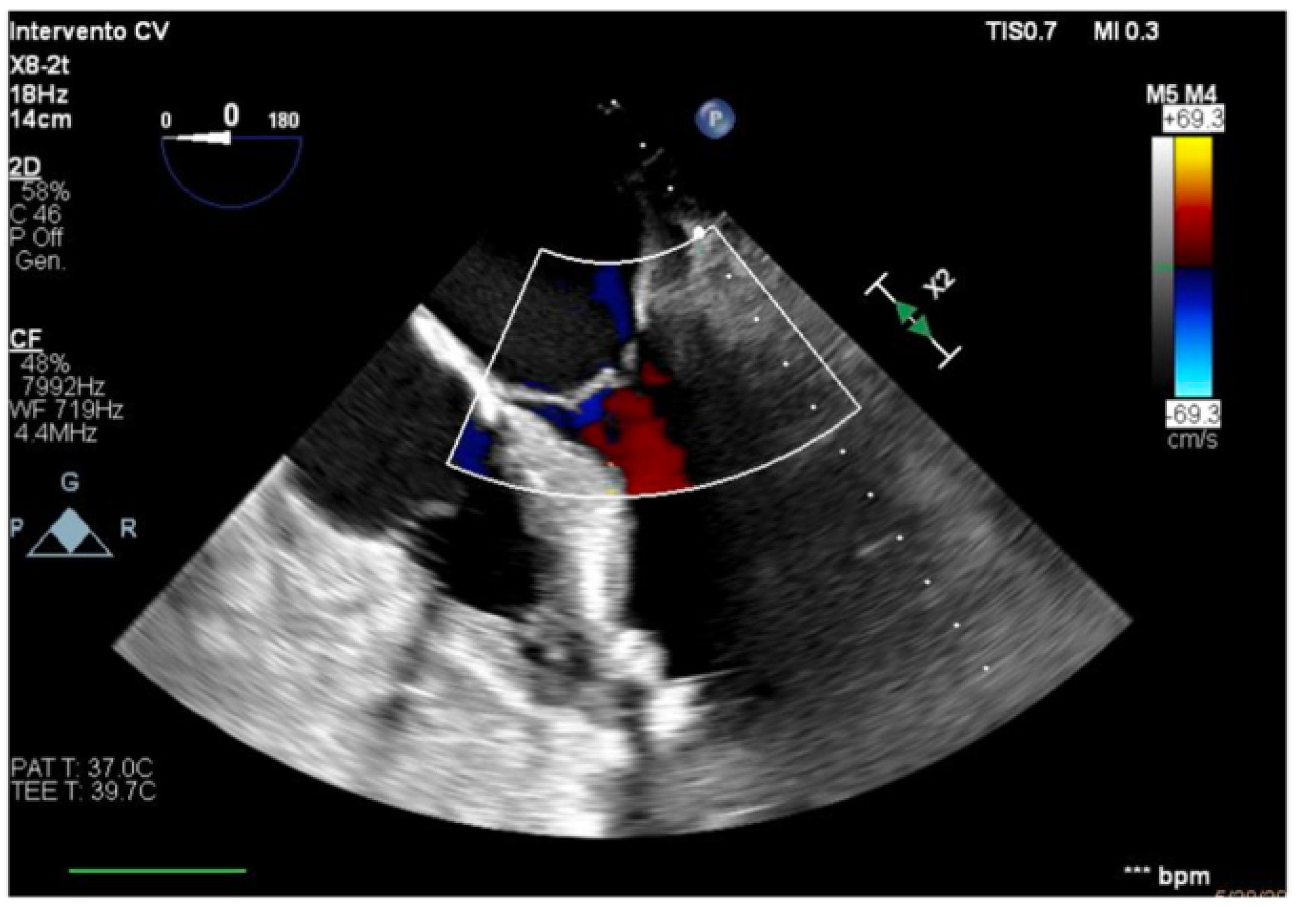 Healthcare 13 03006 g006