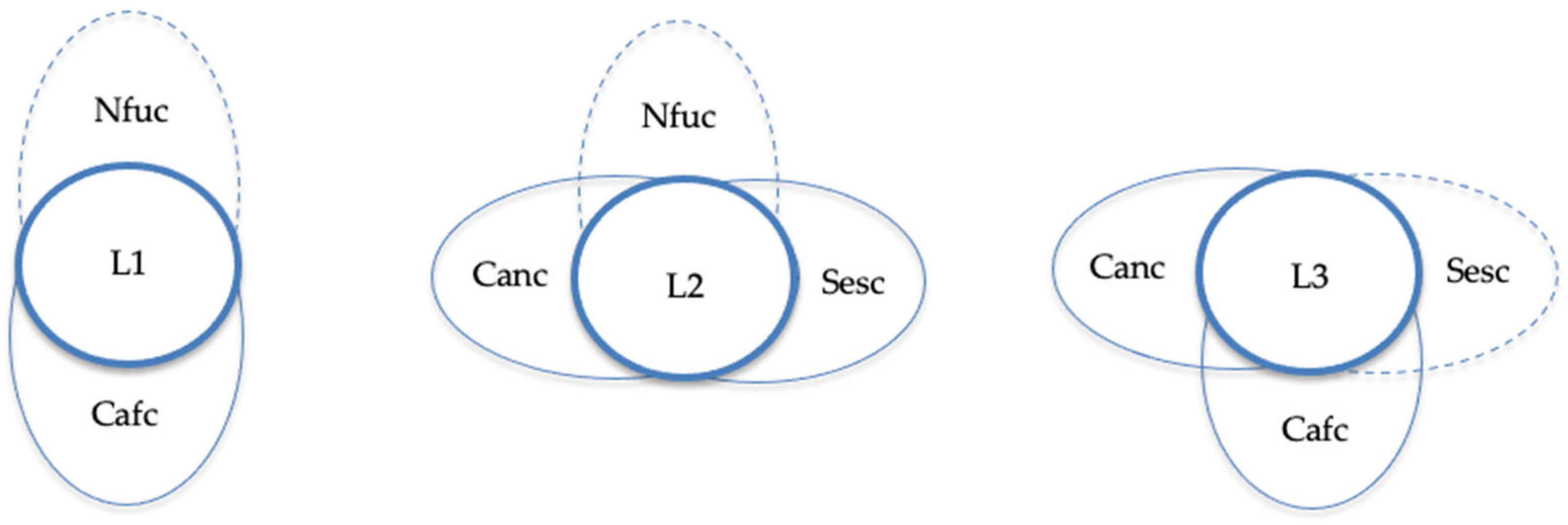 Healthcare 13 03026 g002