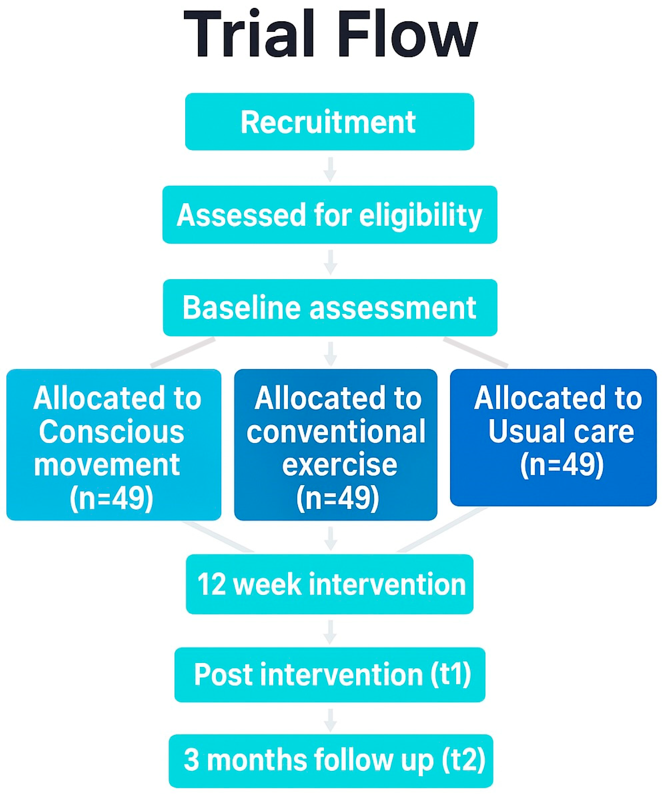 Healthcare 13 03062 g001