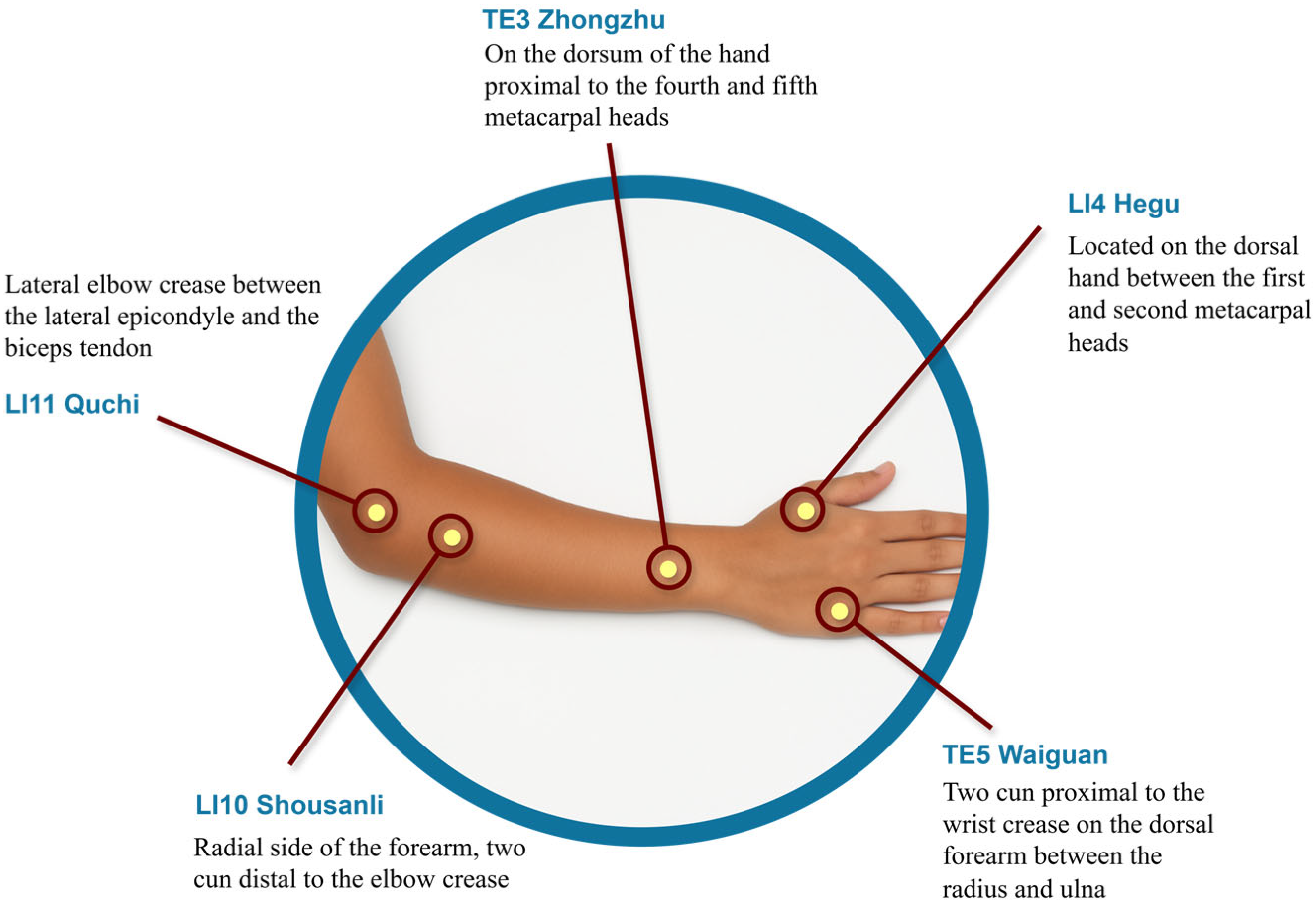 Healthcare 13 03093 g001