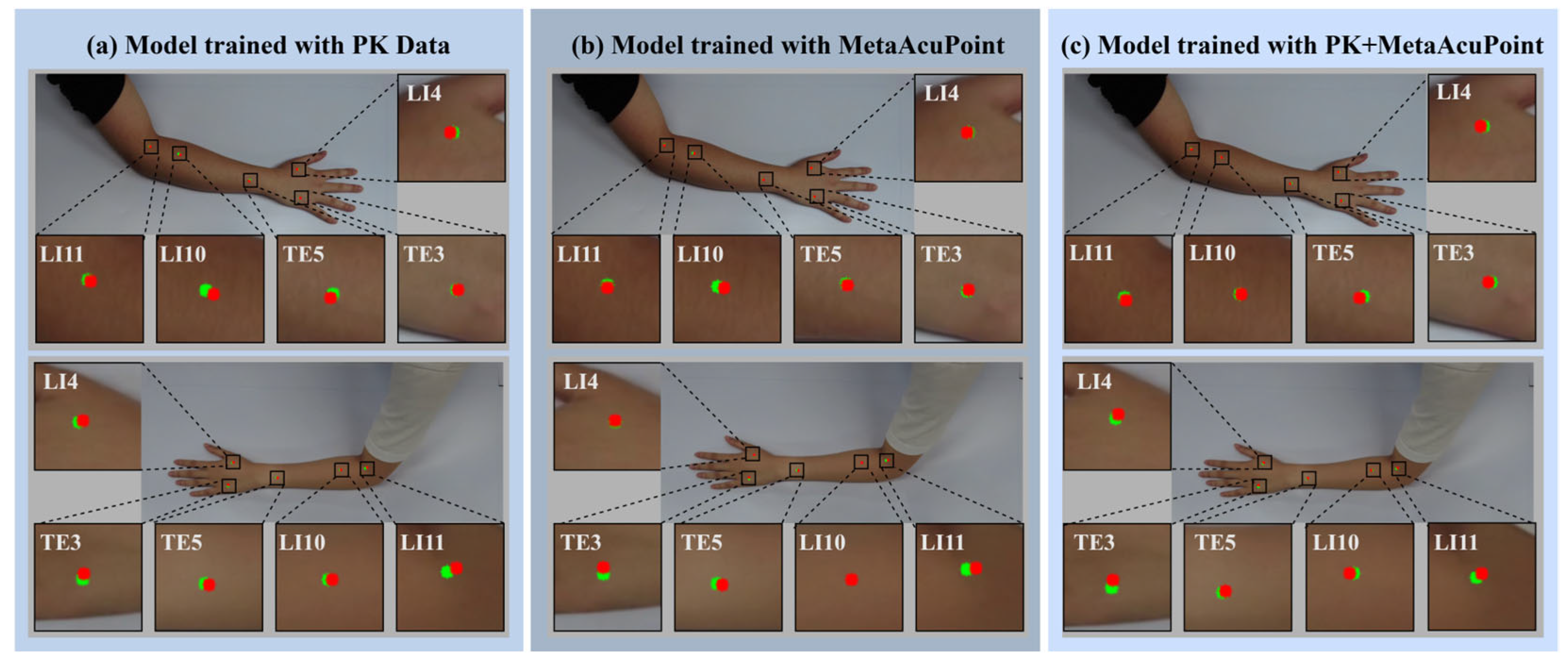 Healthcare 13 03093 g011