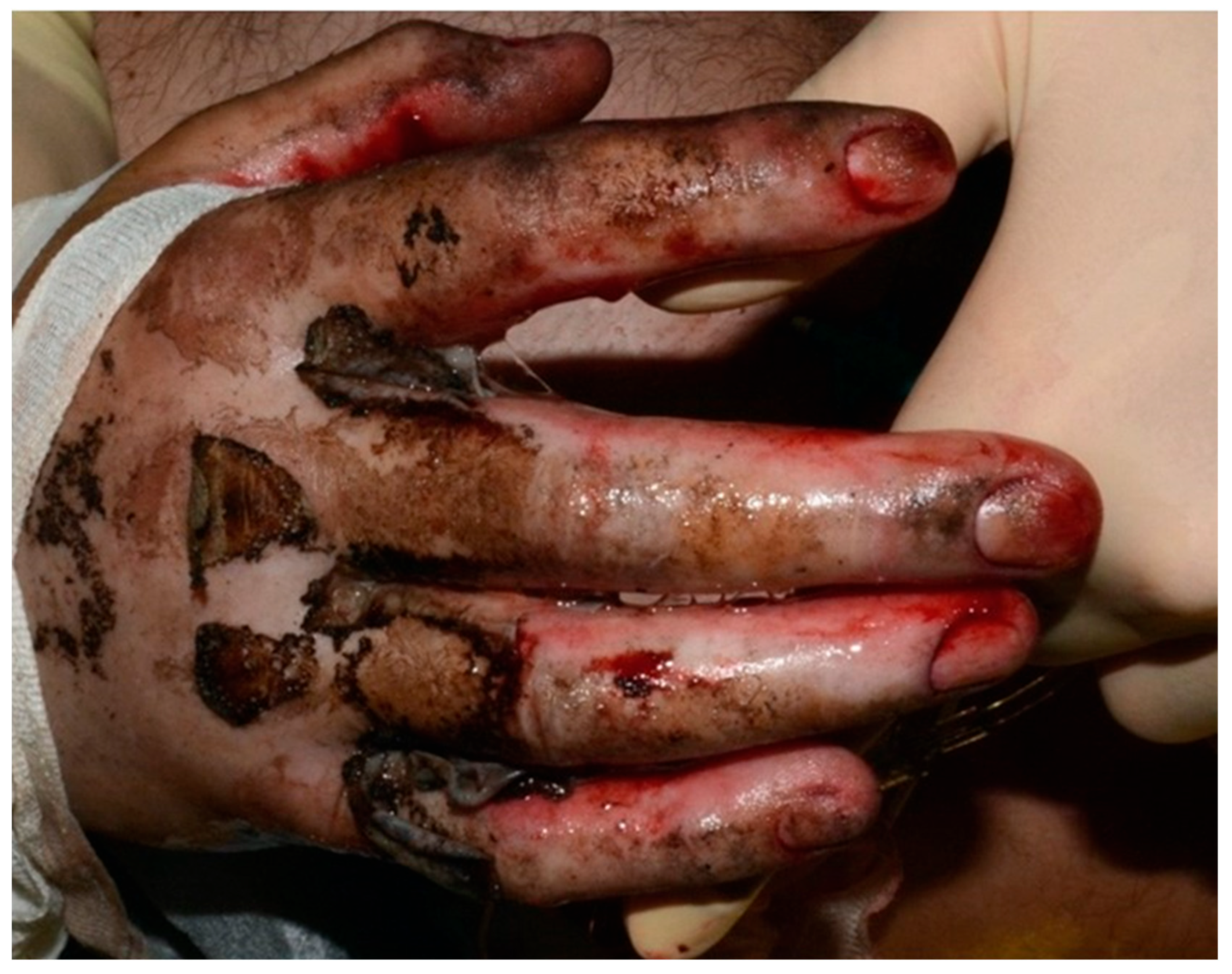 Healthcare 13 03114 g001