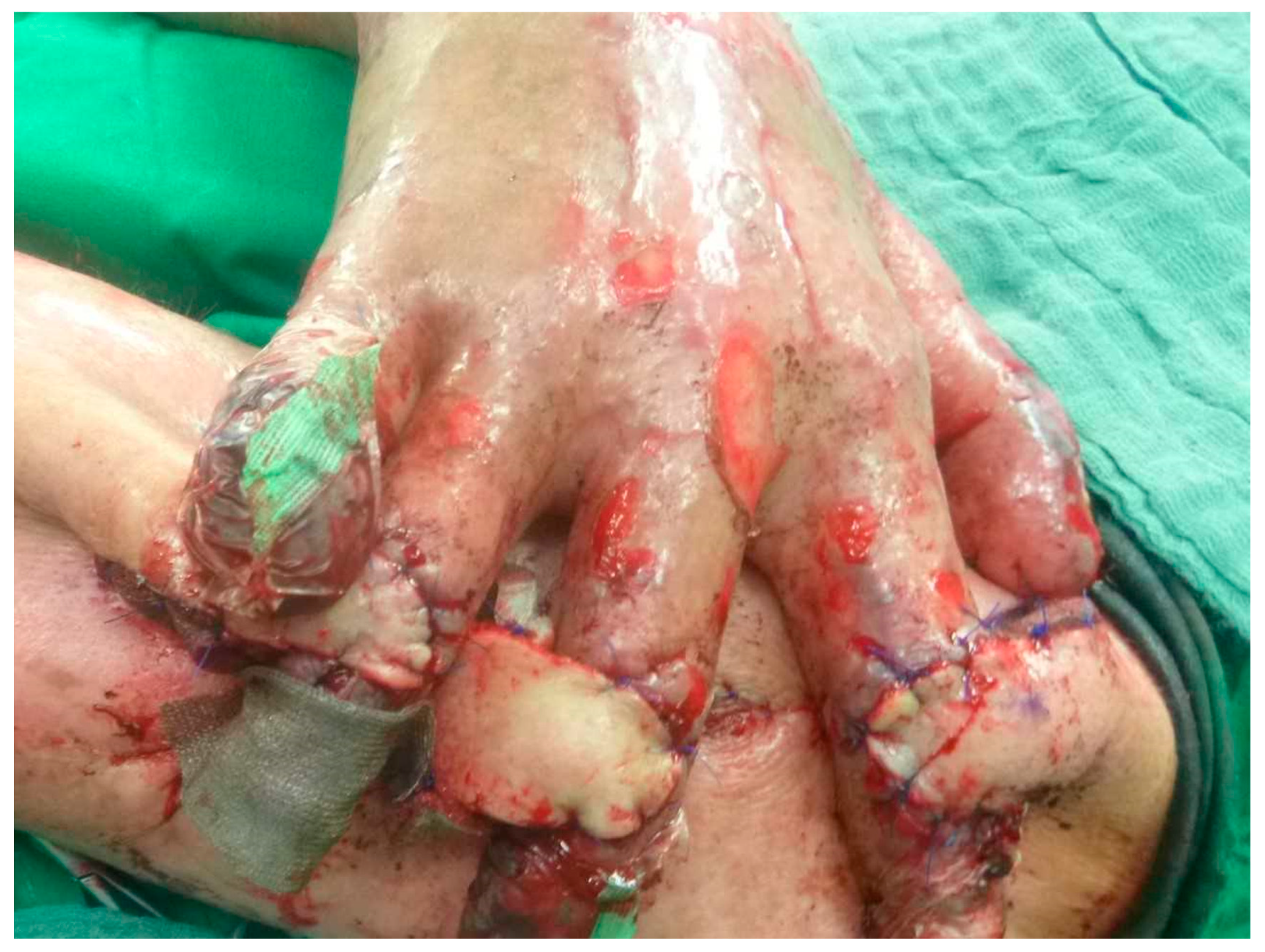 Healthcare 13 03114 g003