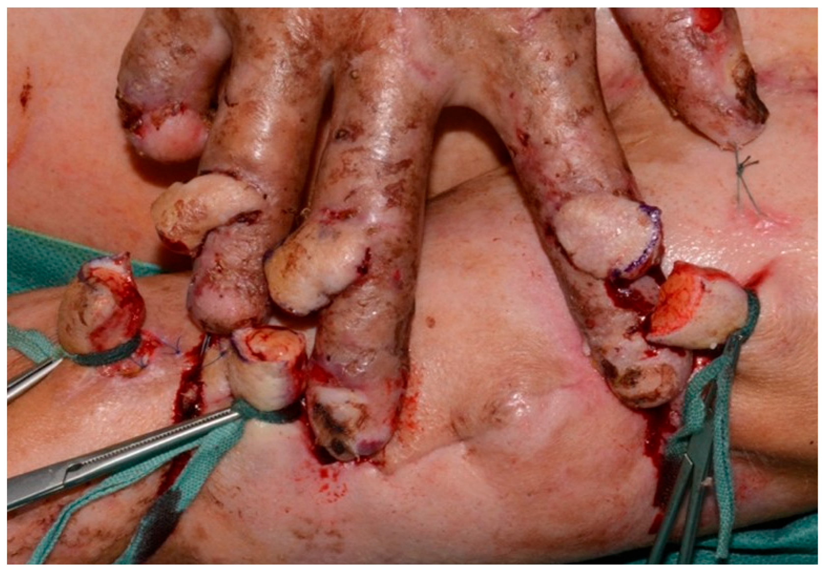 Healthcare 13 03114 g004