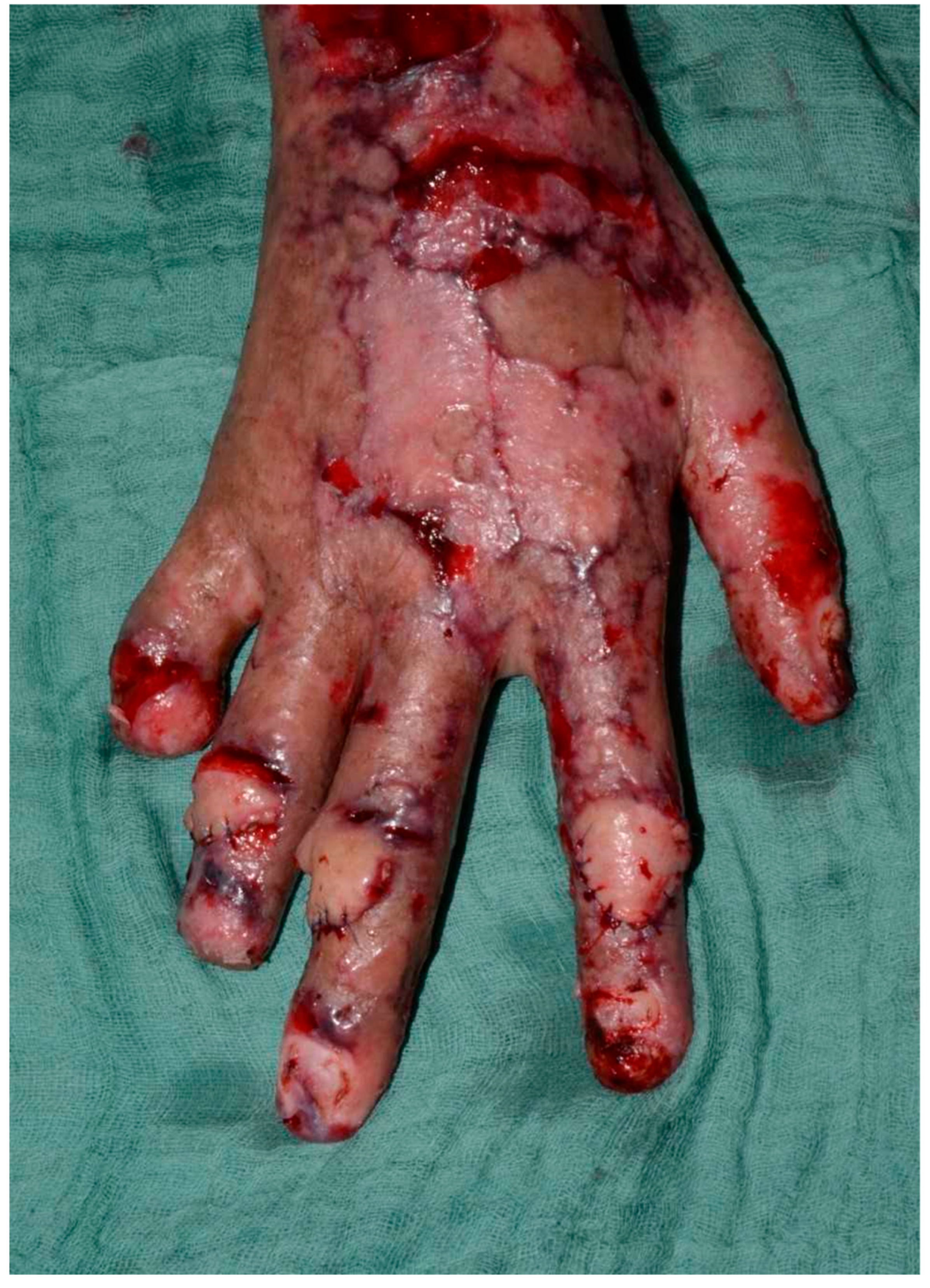 Healthcare 13 03114 g005