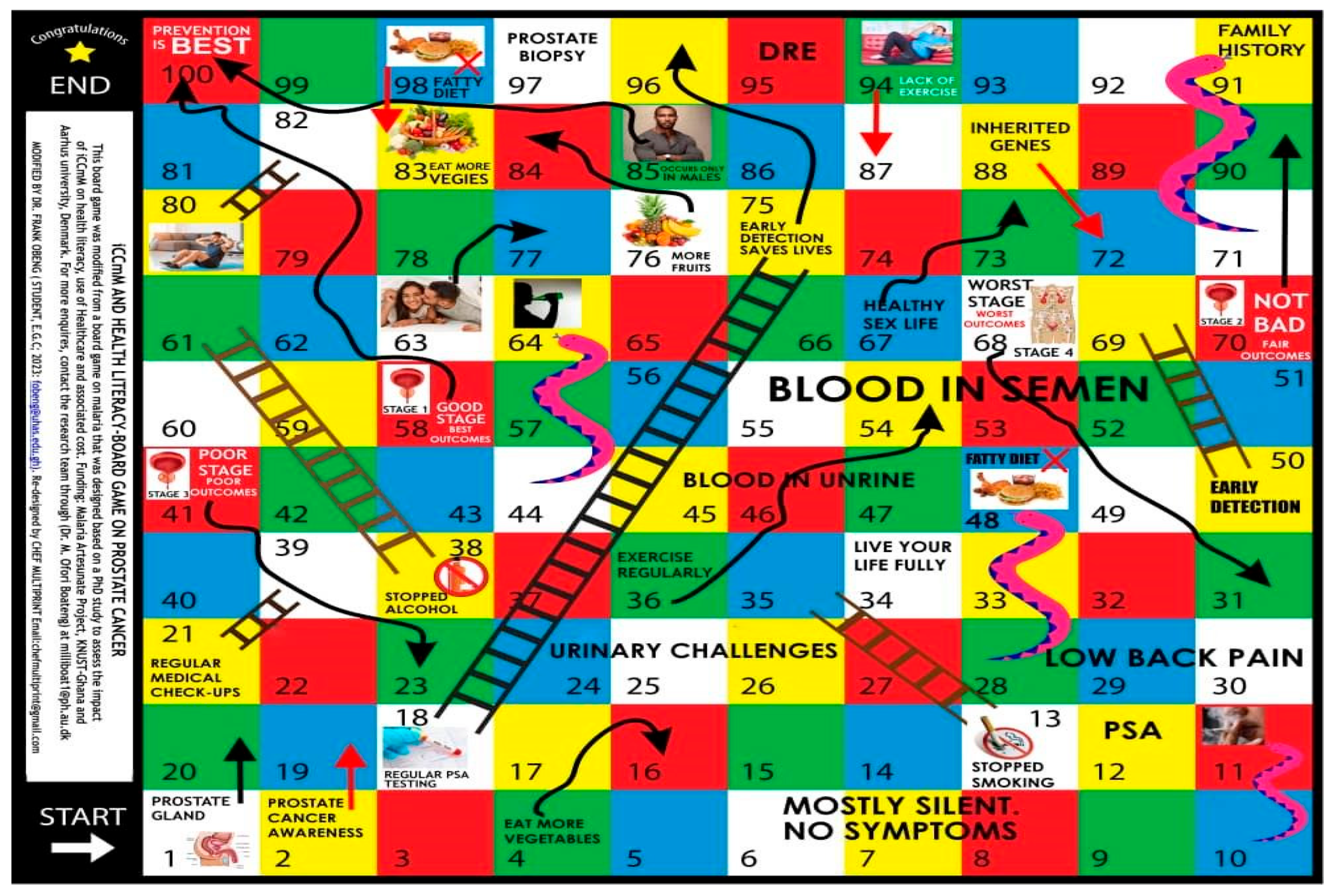 Healthcare 13 03135 g002