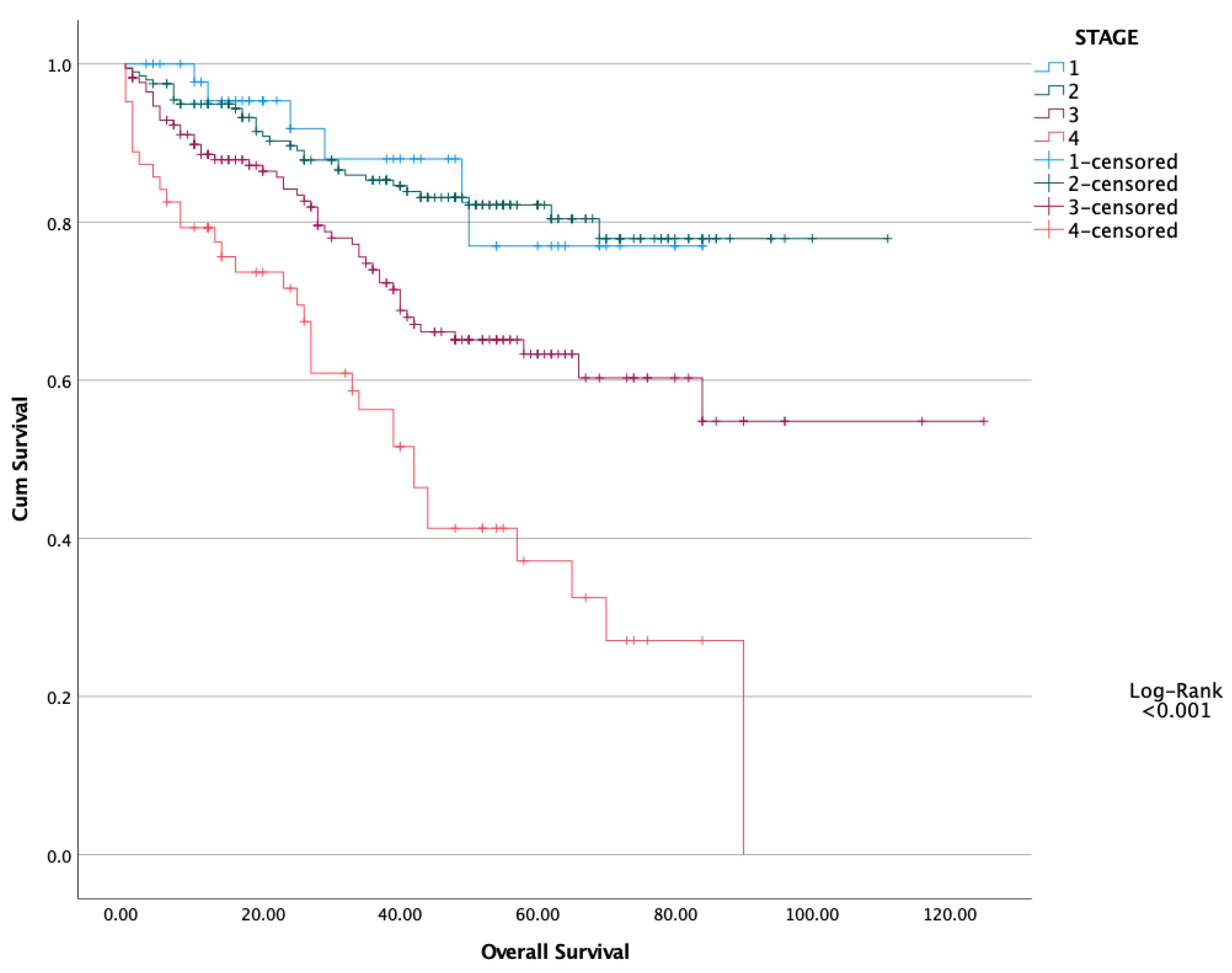 Healthcare 13 03137 g003 Healthcare 13 03137 g003