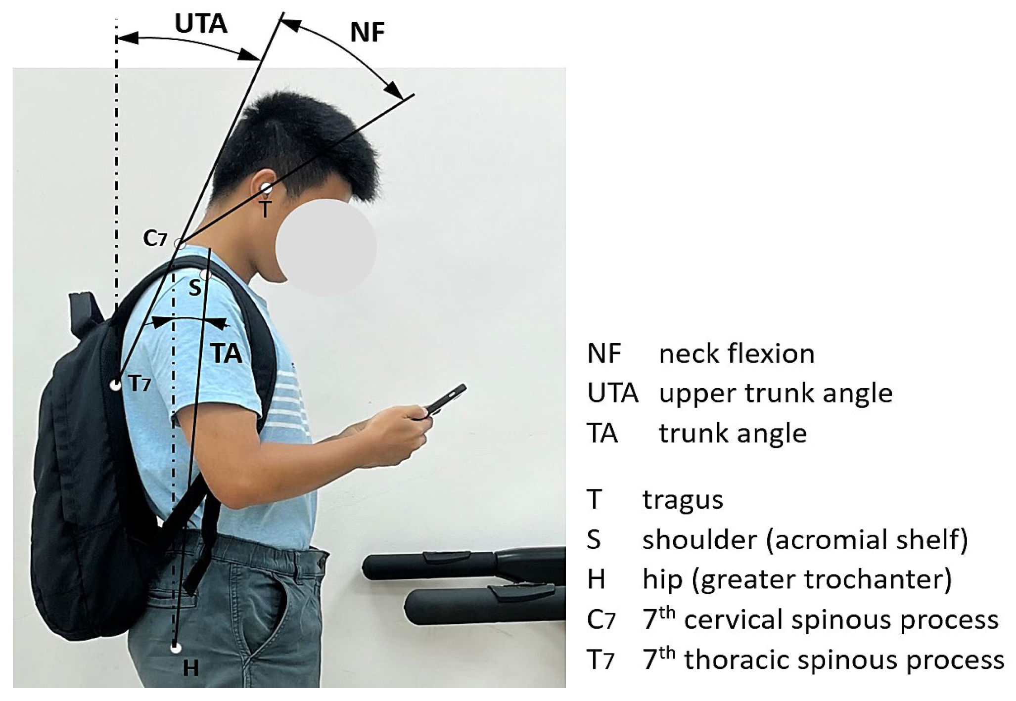 Healthcare 13 03141 g001