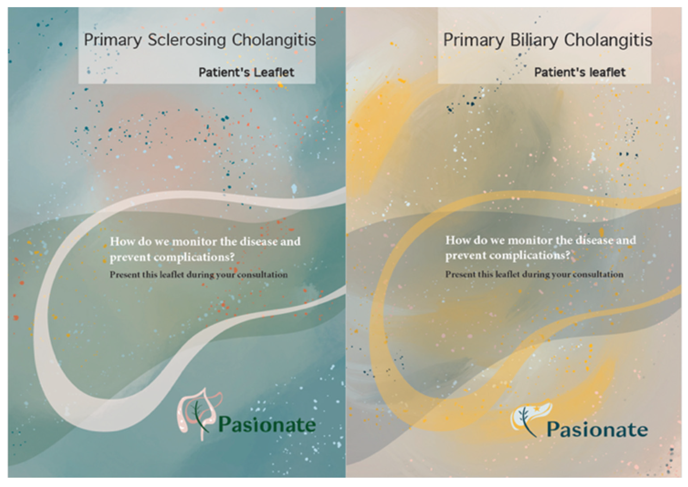 Healthcare 13 03148 g001