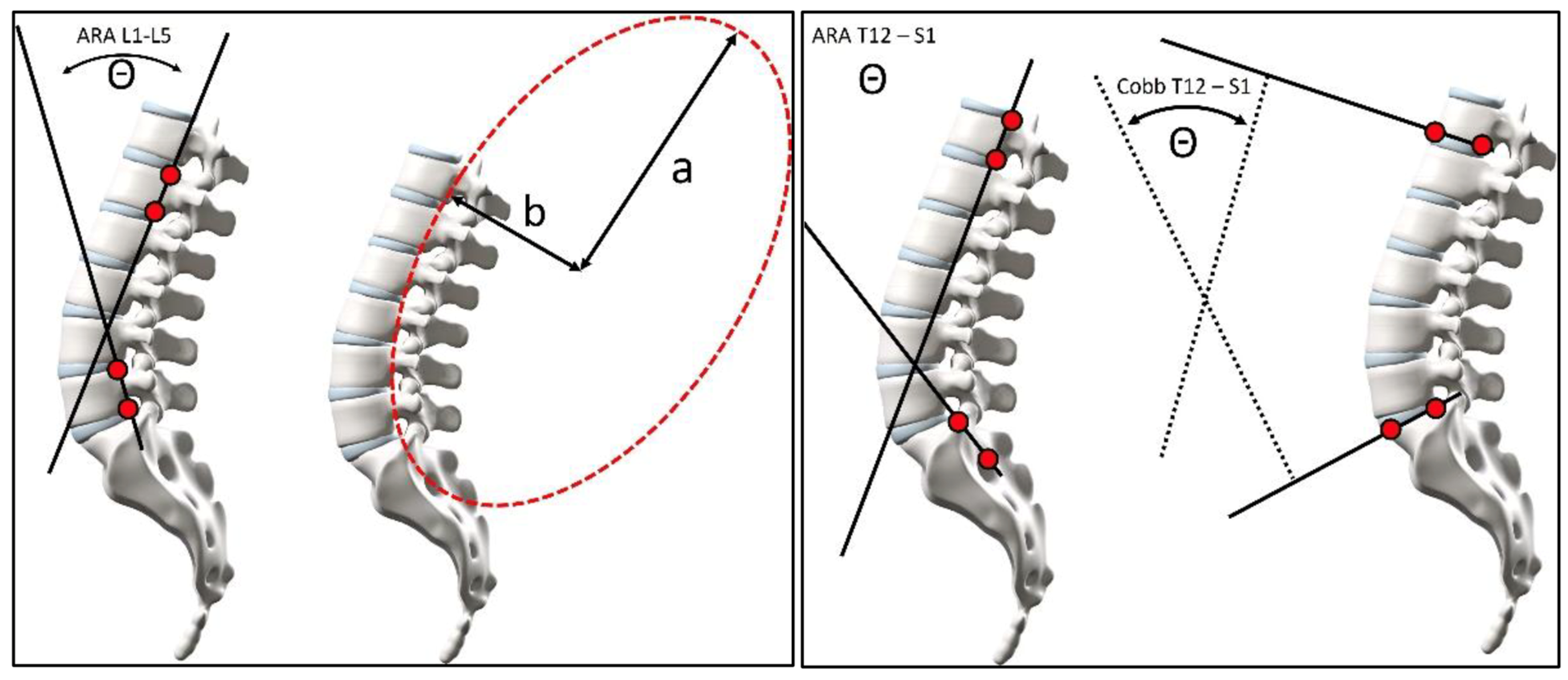 Healthcare 13 03163 g001