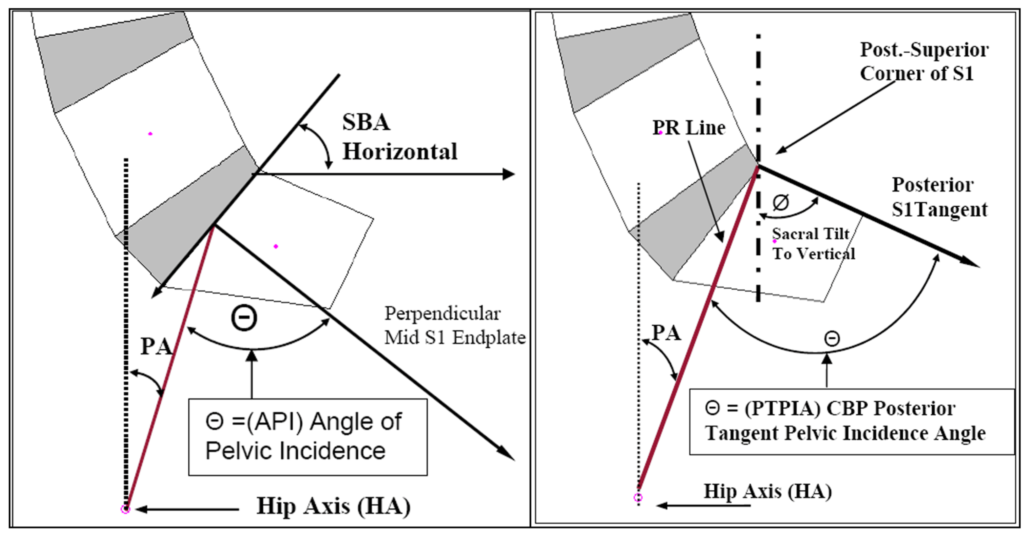 Healthcare 13 03163 g002