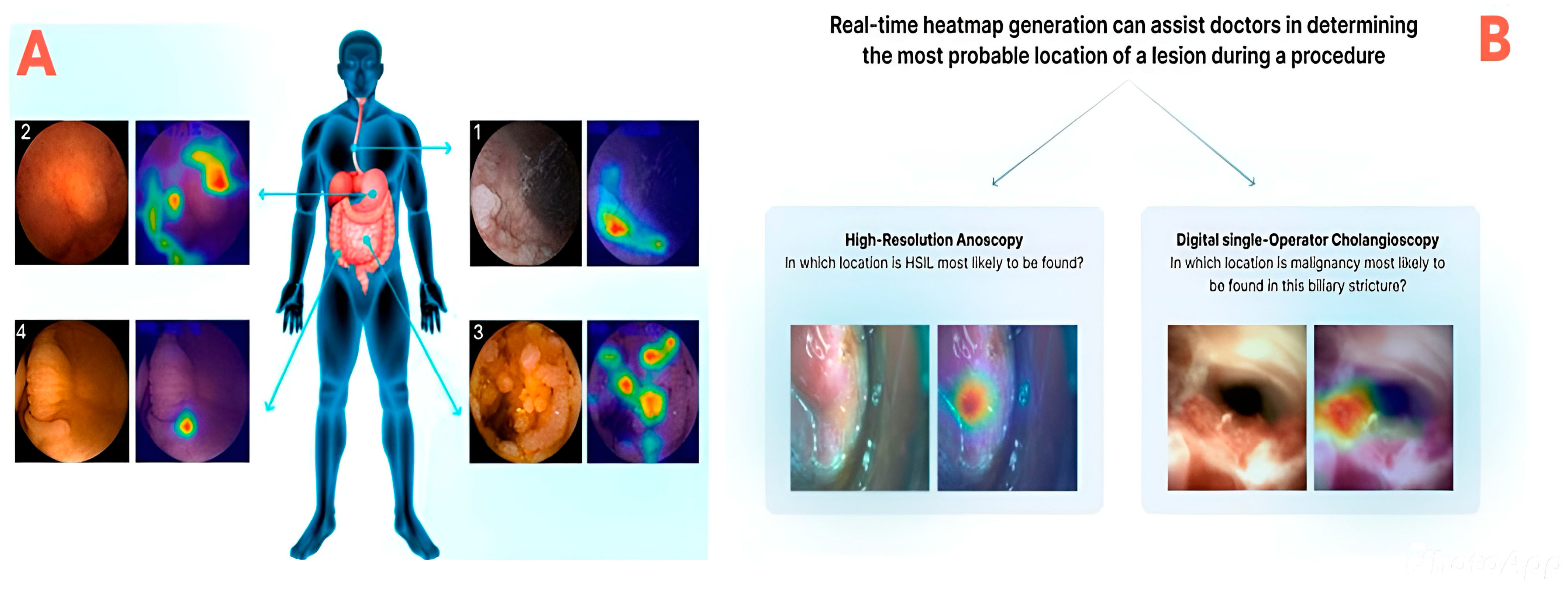 Healthcare 13 03208 g011