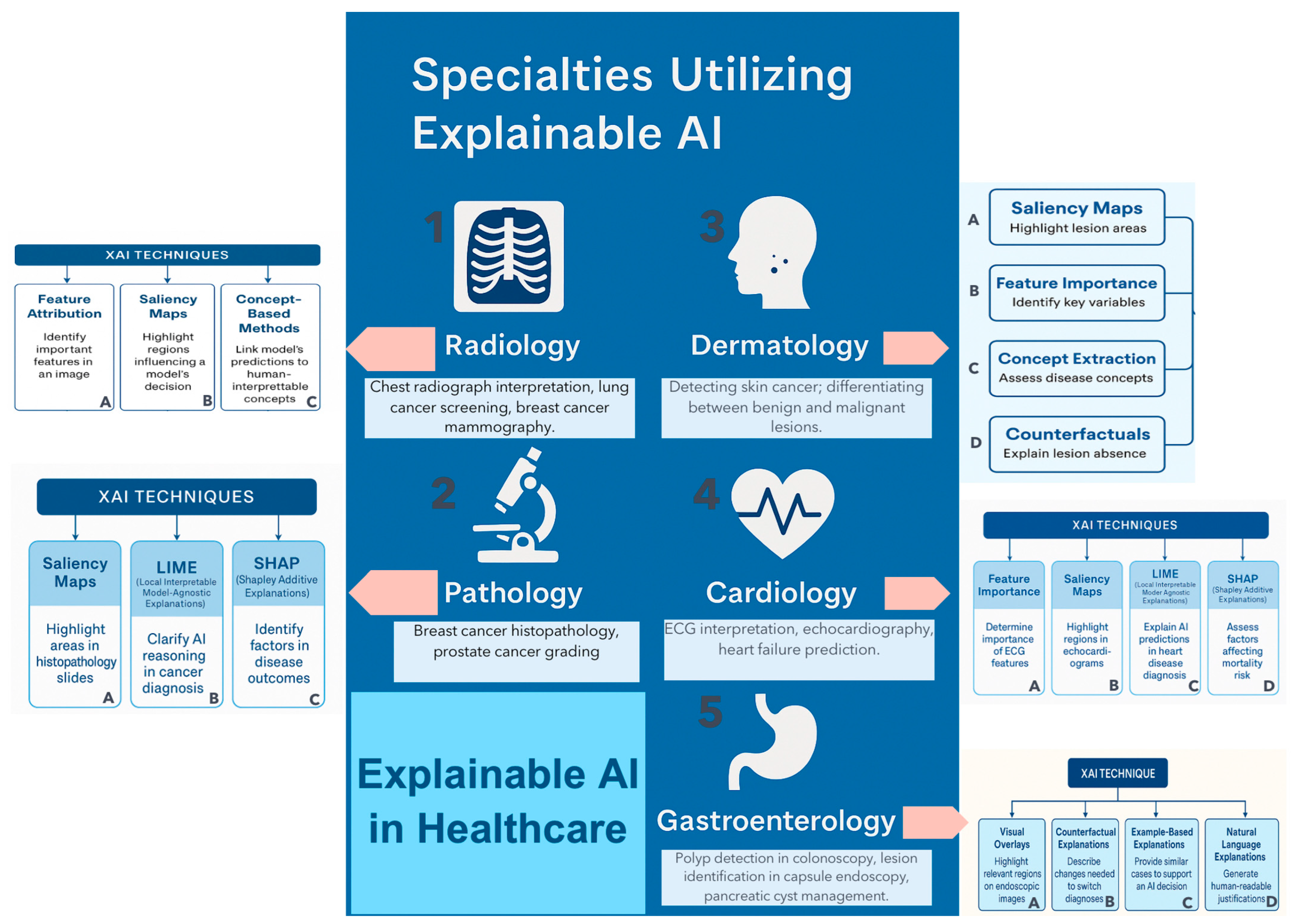 Healthcare 13 03208 g012