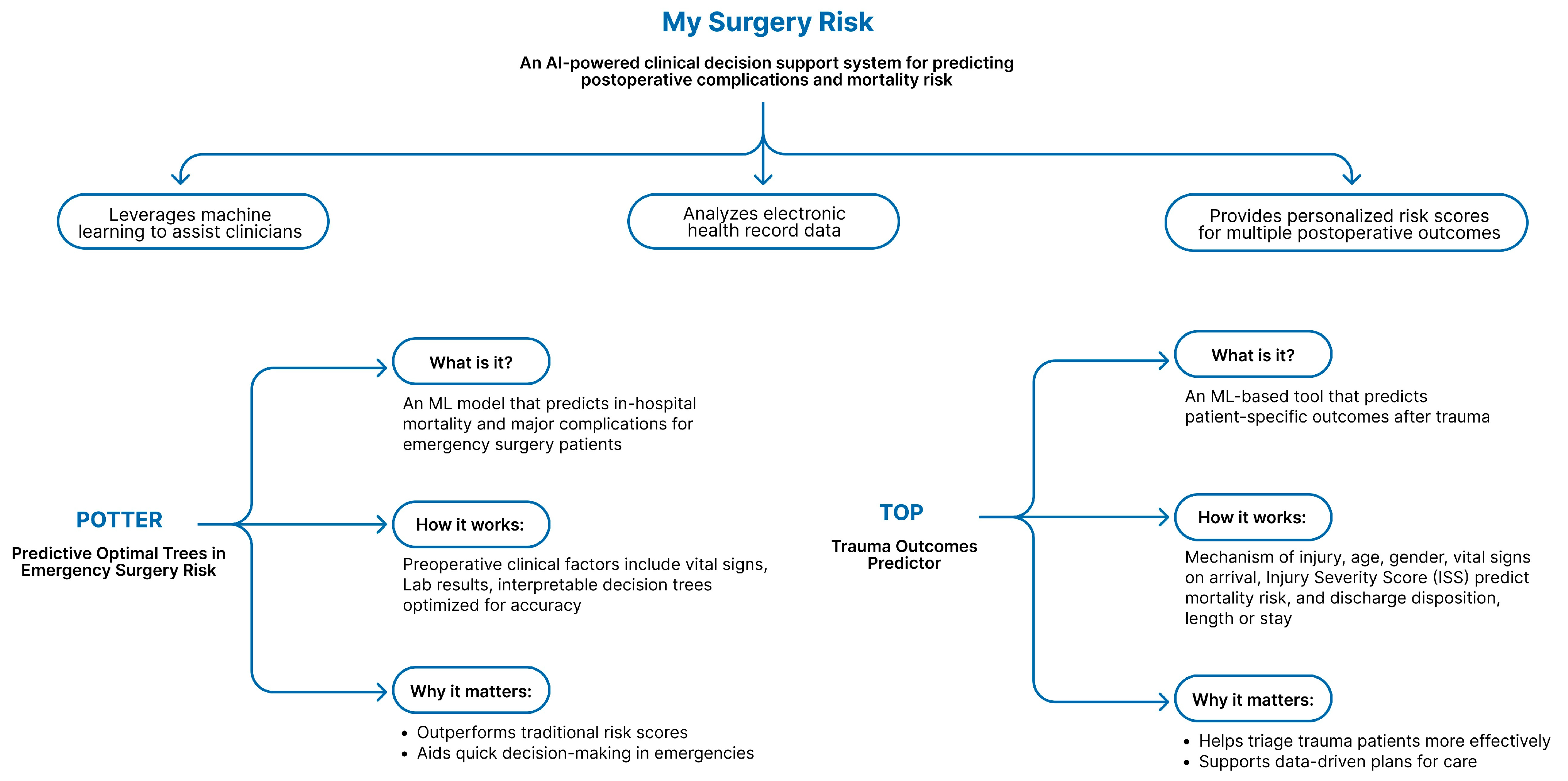 Healthcare 13 03208 g017