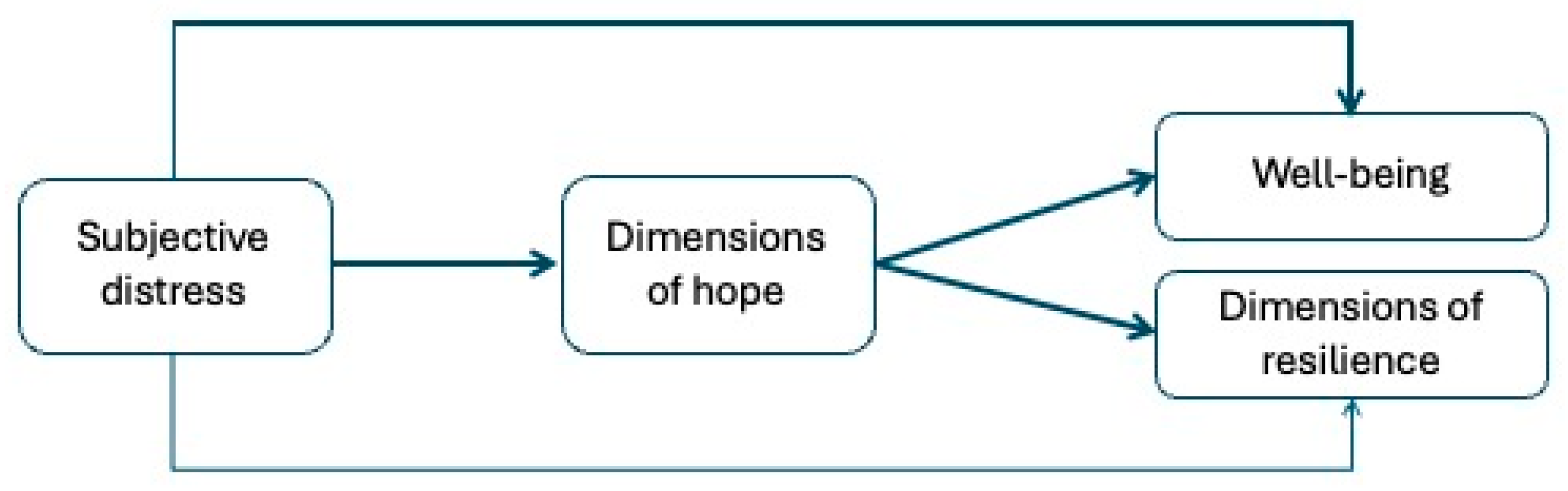 Healthcare 13 03259 g001