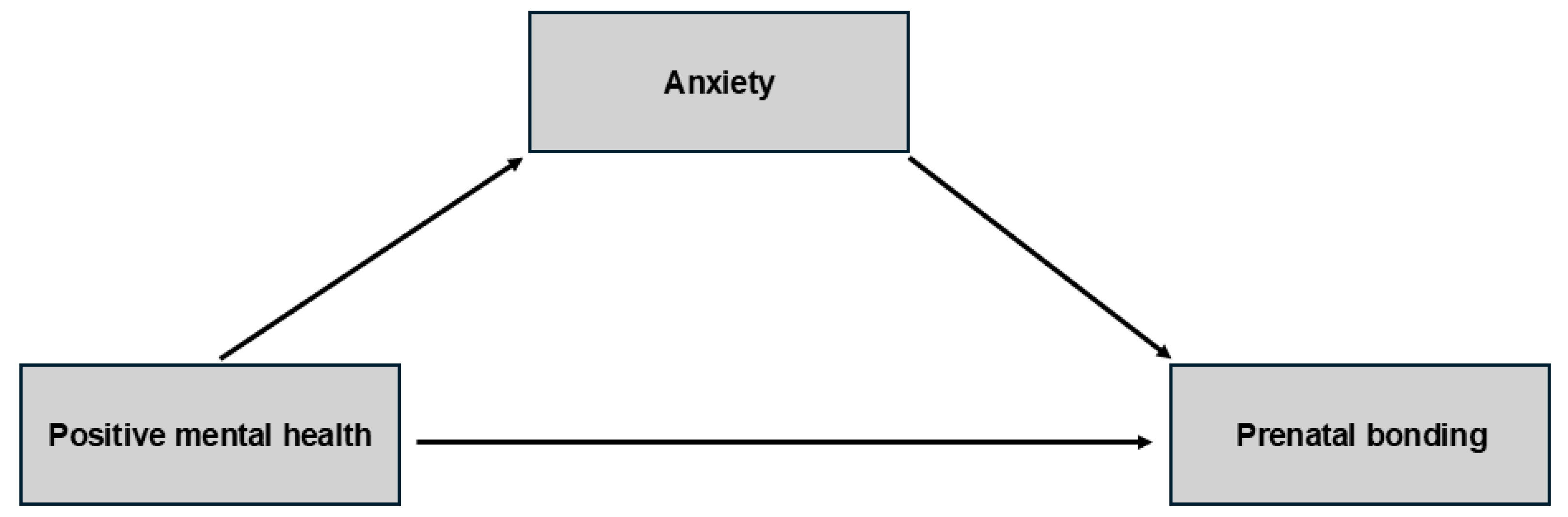 Healthcare 13 03300 g001 Healthcare 13 03300 g001