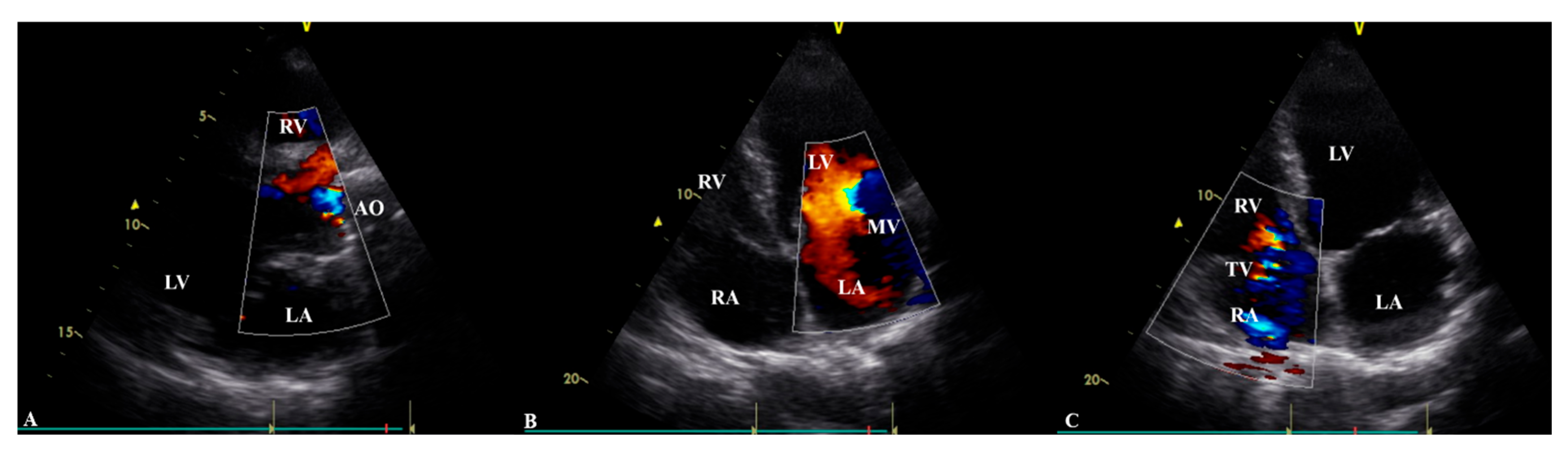 Healthcare 14 00034 g002