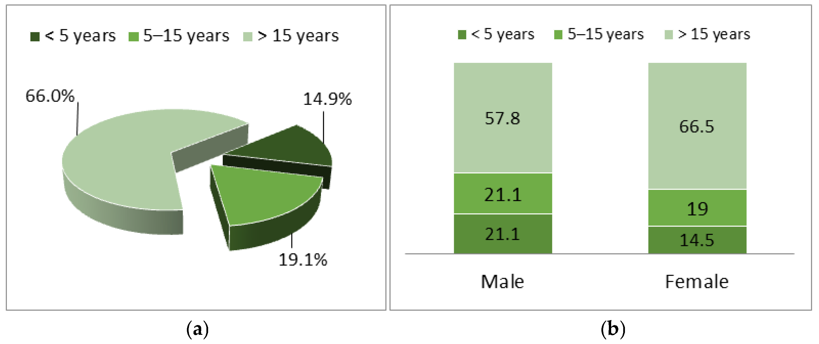 Healthcare 14 00044 g001