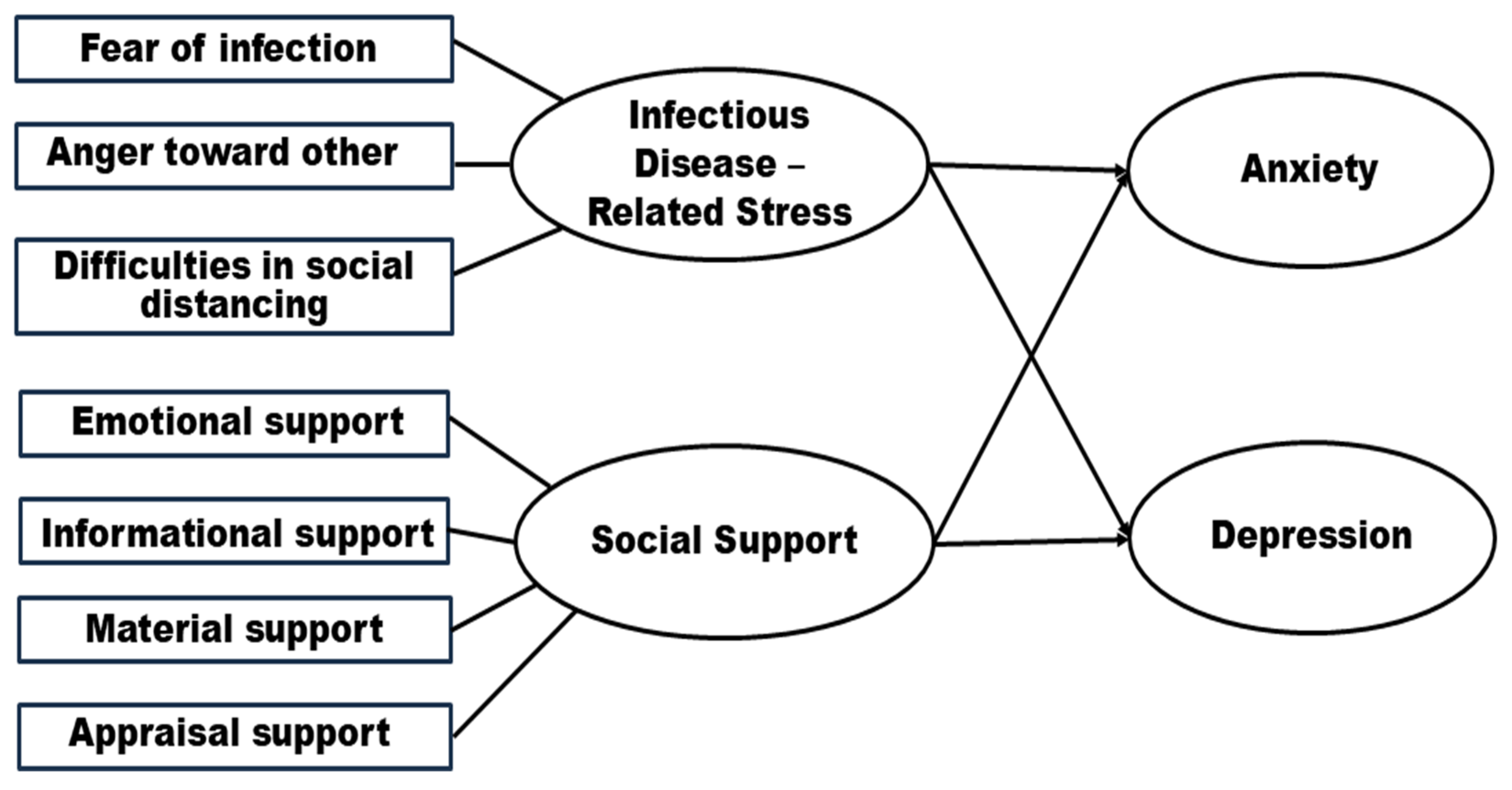 Healthcare 14 00048 g001