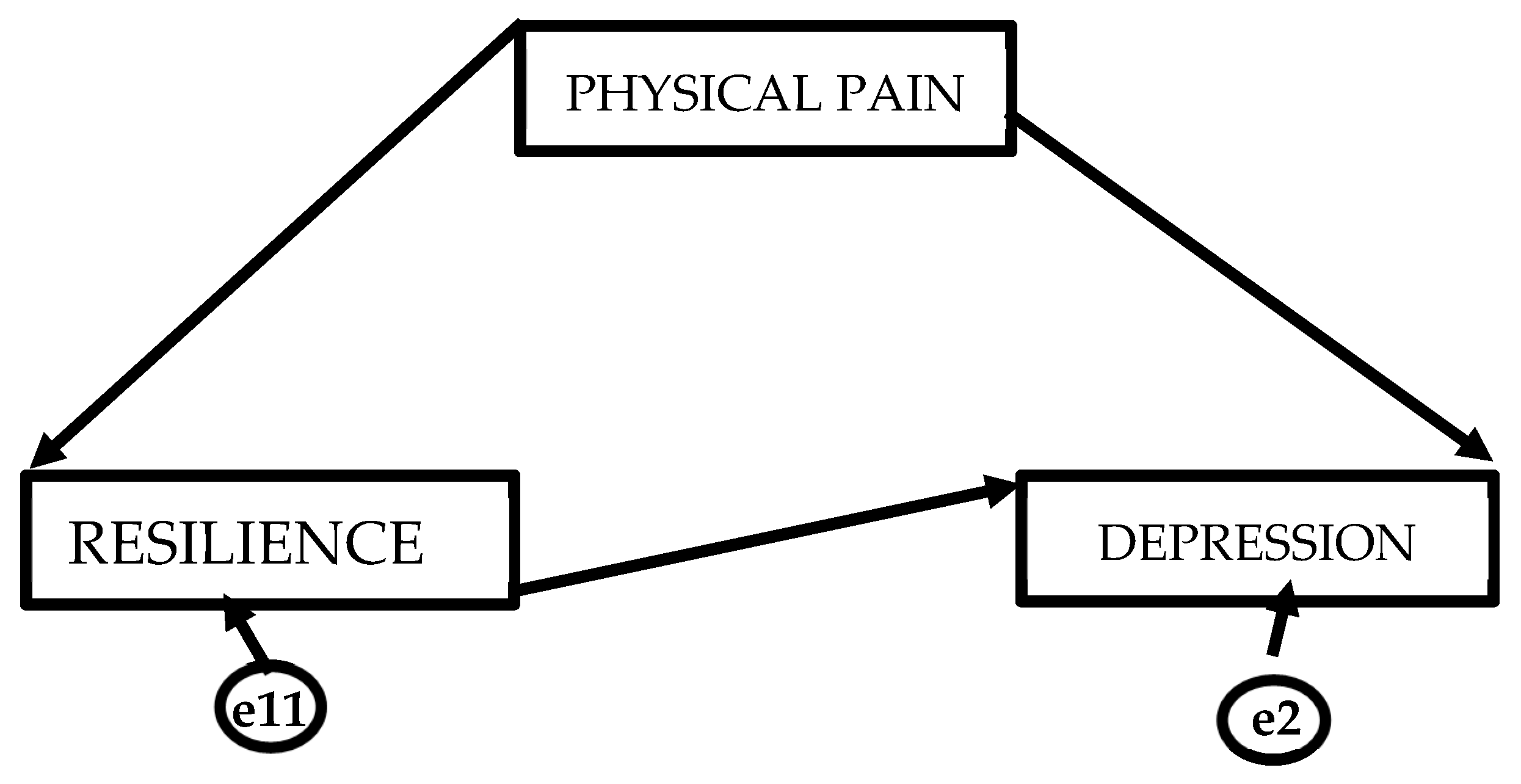 Healthcare 14 00053 g001