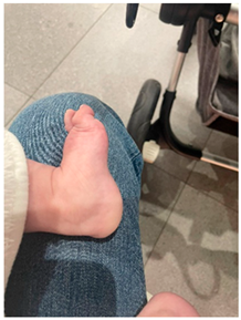 Healthcare 14 00104 i006