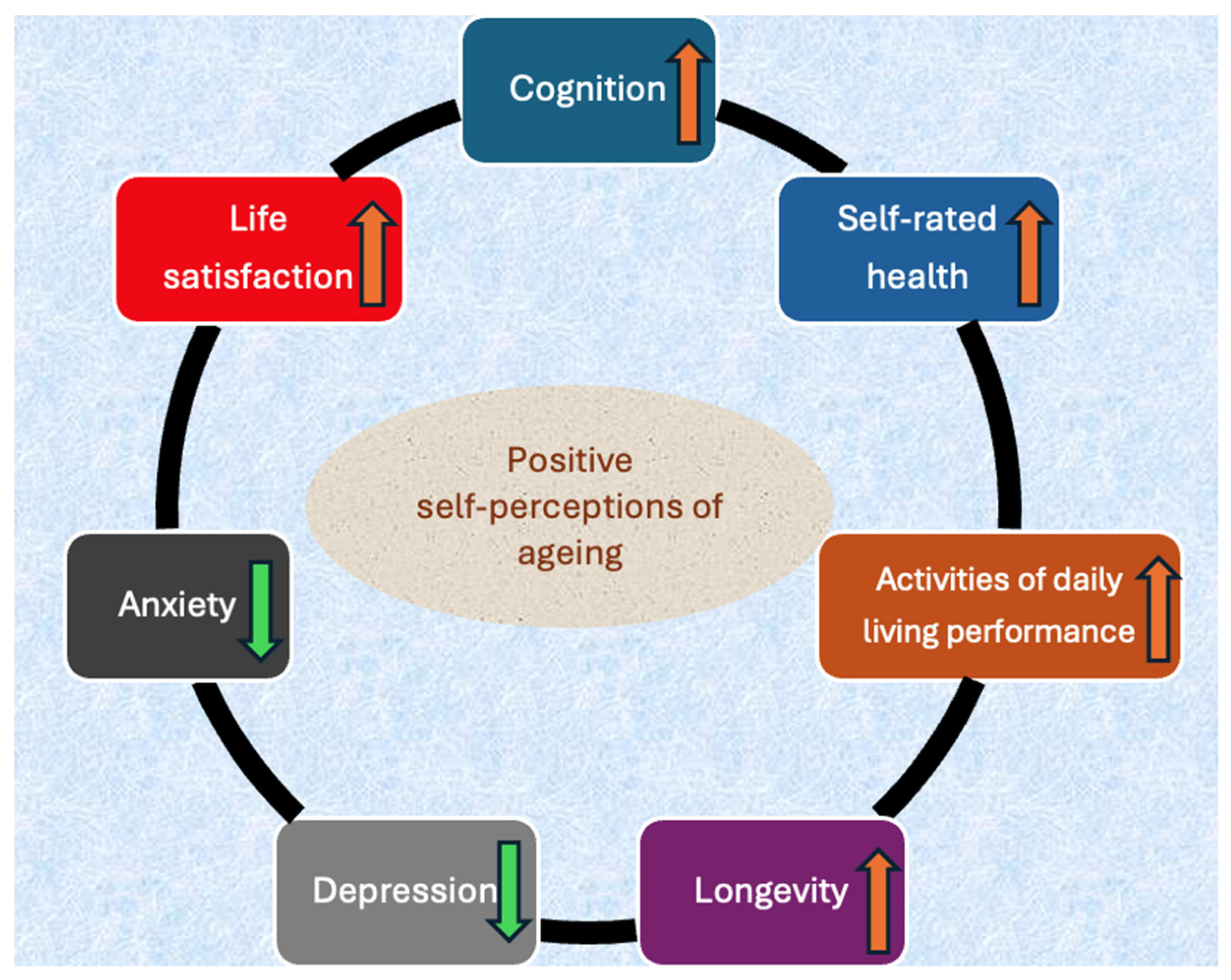 Healthcare 14 00217 g002 Healthcare 14 00217 g002