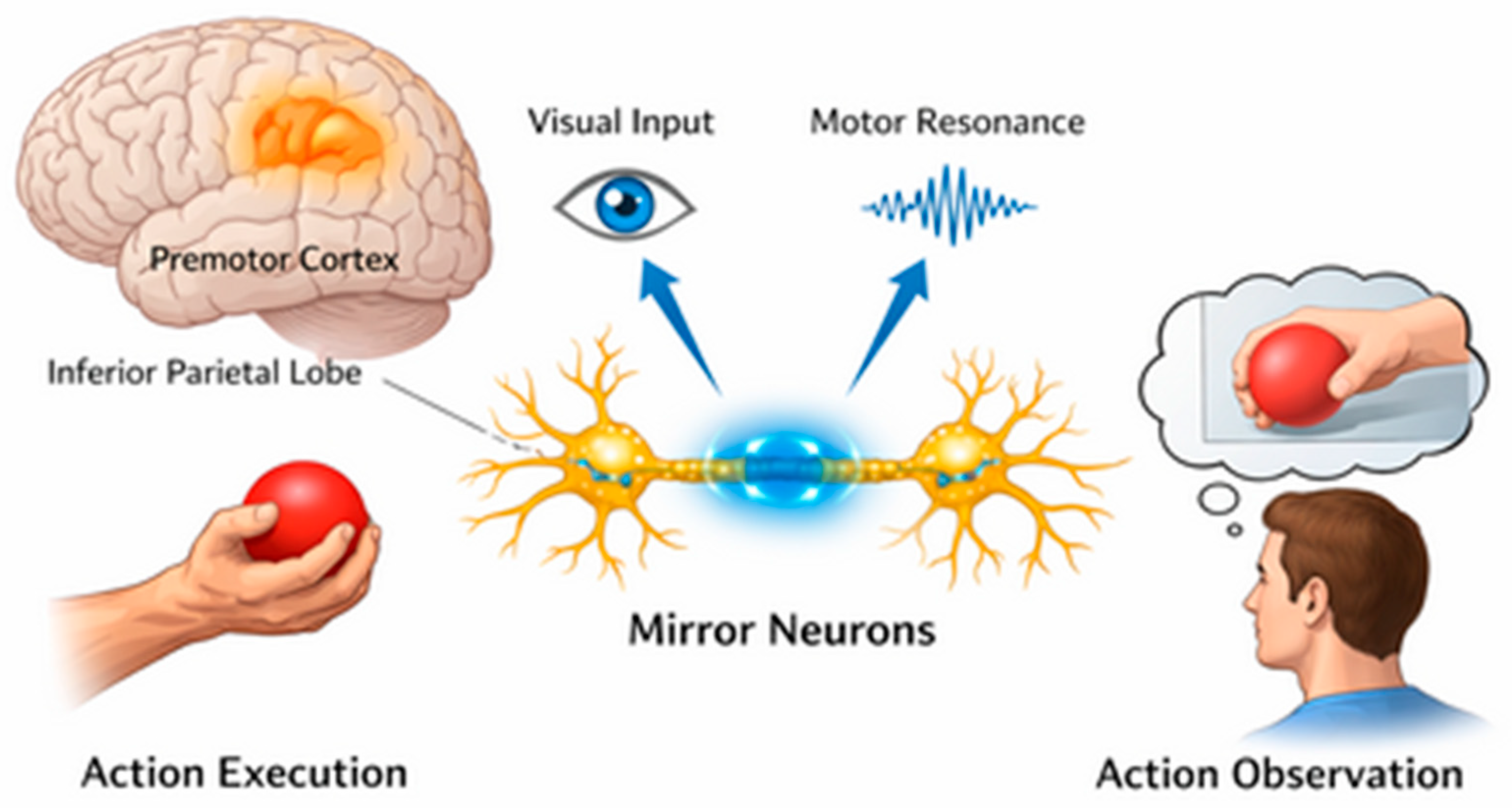 Healthcare 14 00280 g001 Healthcare 14 00280 g001