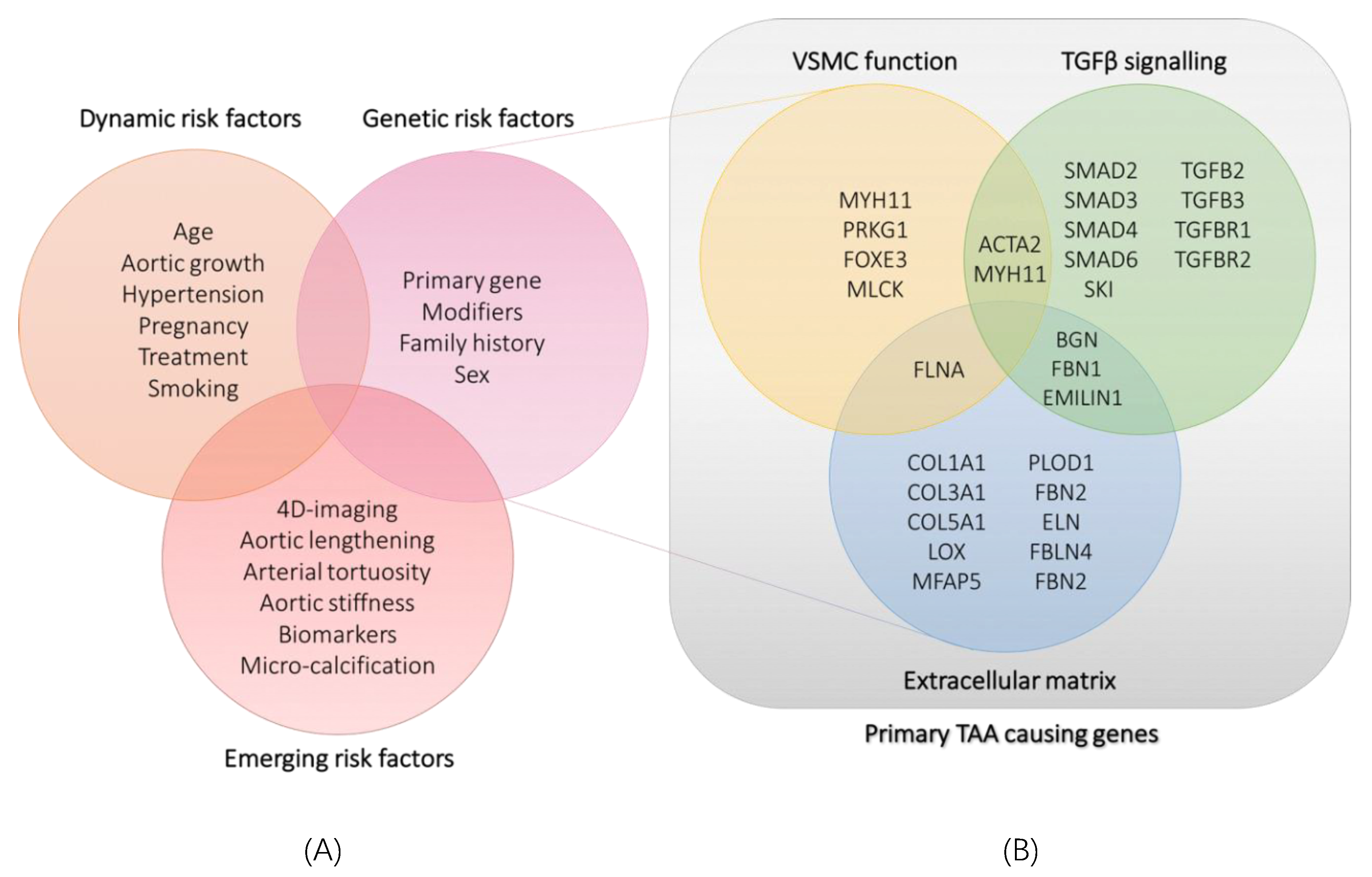 Hearts 01 00007 g001 Hearts 01 00007 g001