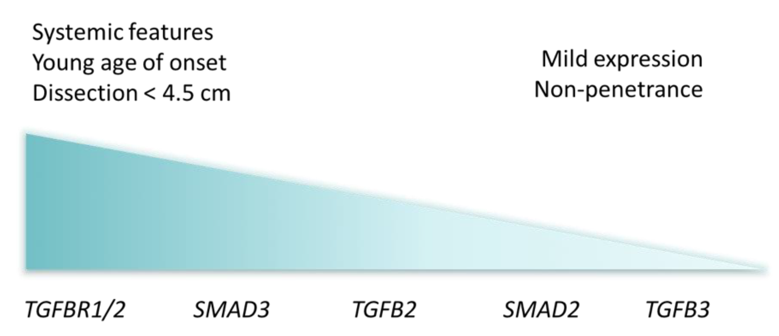 Hearts 01 00007 g003 Hearts 01 00007 g003