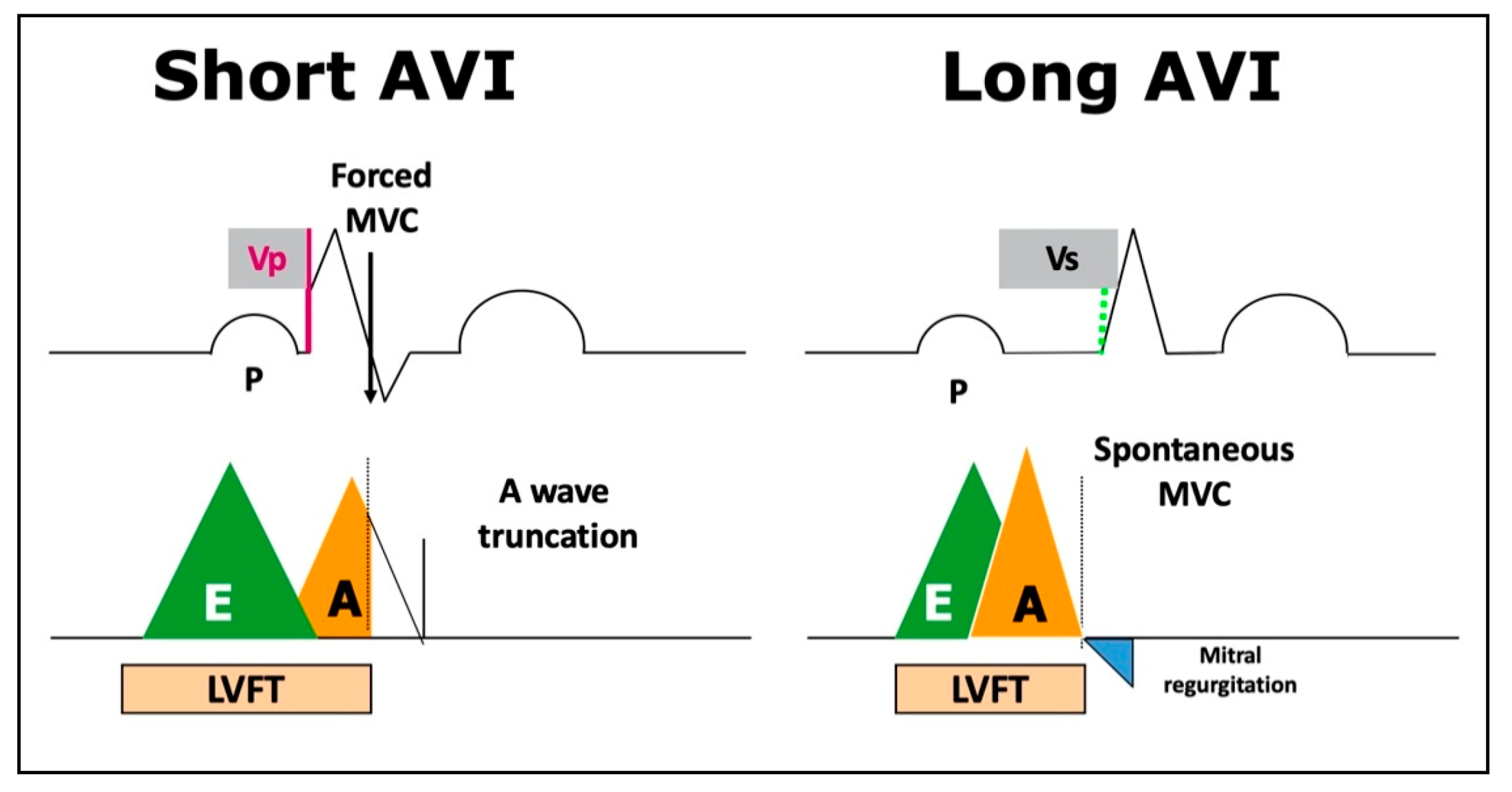 Hearts 02 00003 g002 Hearts 02 00003 g002