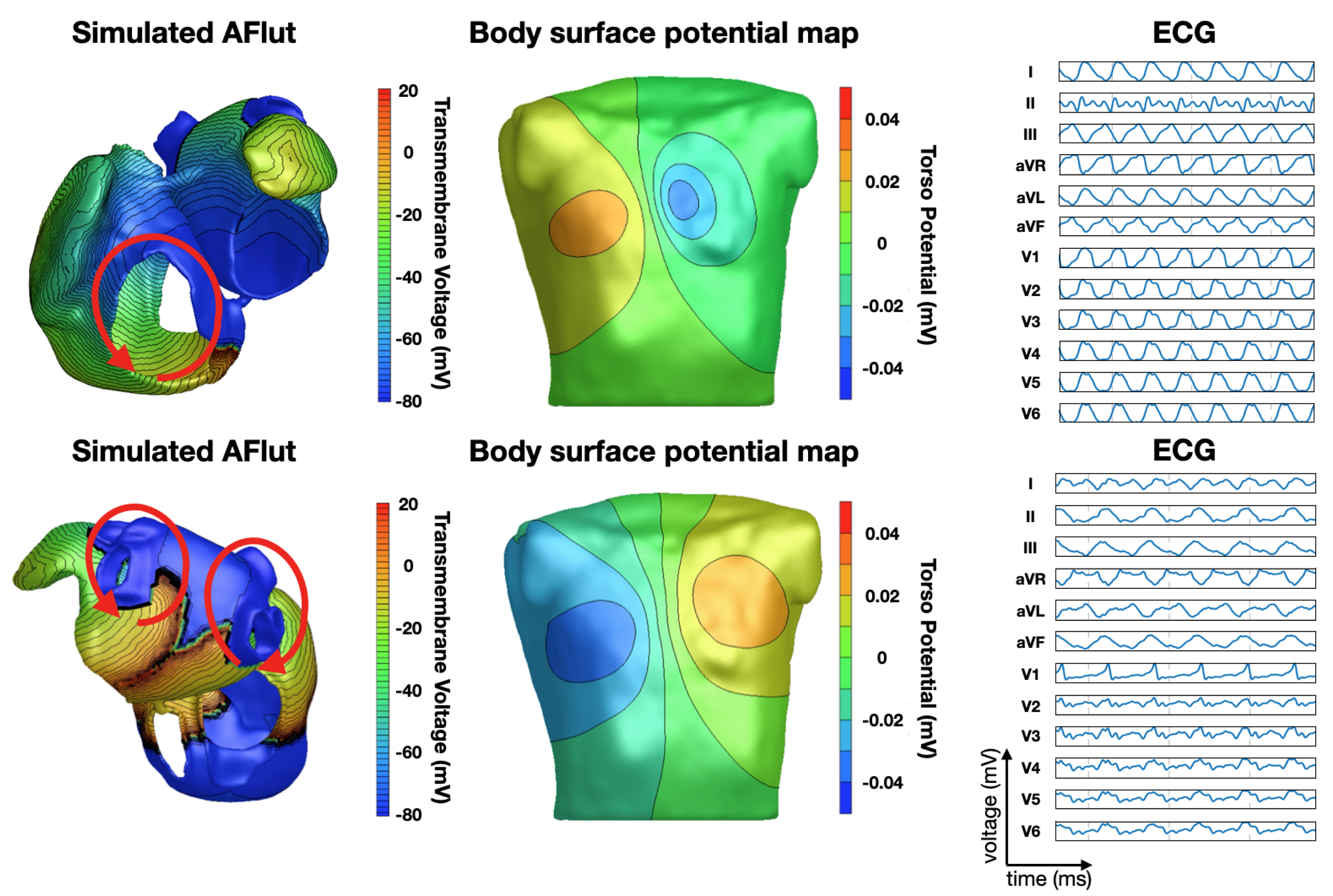 Hearts 02 00028 g004