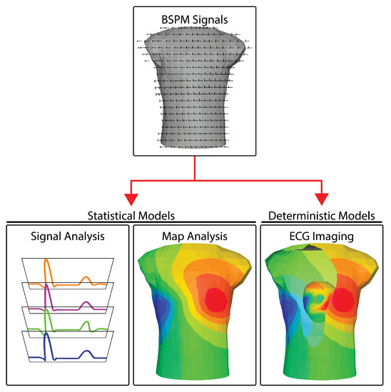 Transparent Baseline Platform Scale/Body Analyzer