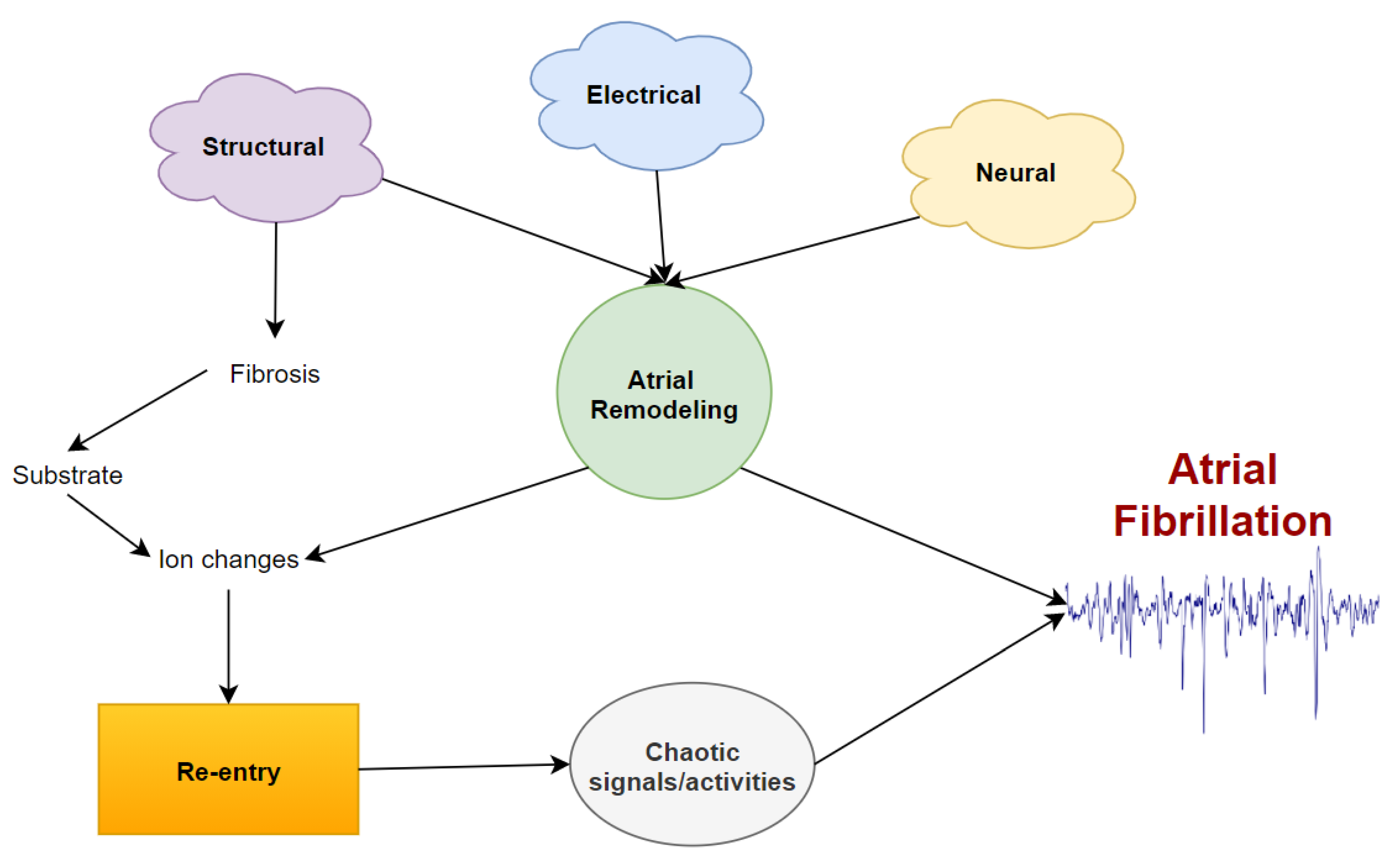 Hearts 03 00005 g001 Hearts 03 00005 g001