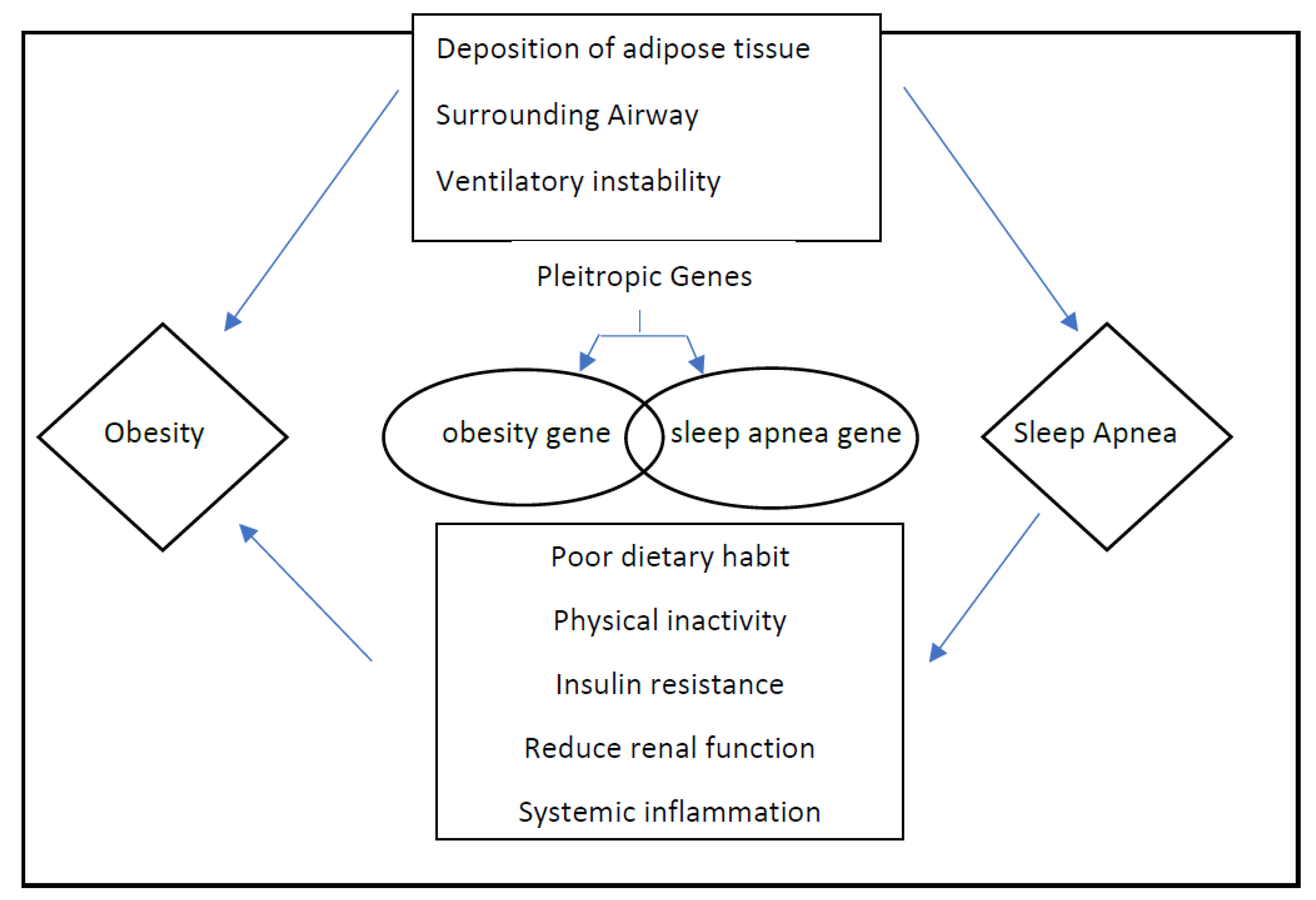 Hearts 03 00008 g001 Hearts 03 00008 g001