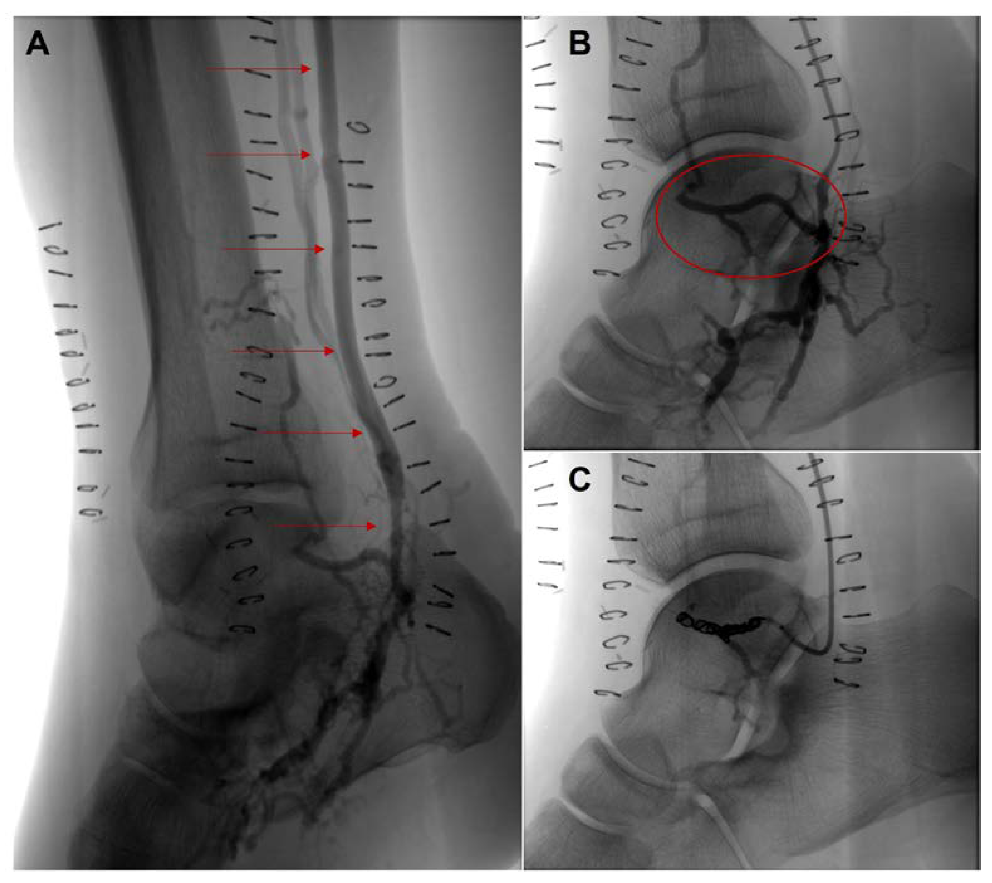 Hearts 04 00002 g003 Hearts 04 00002 g003
