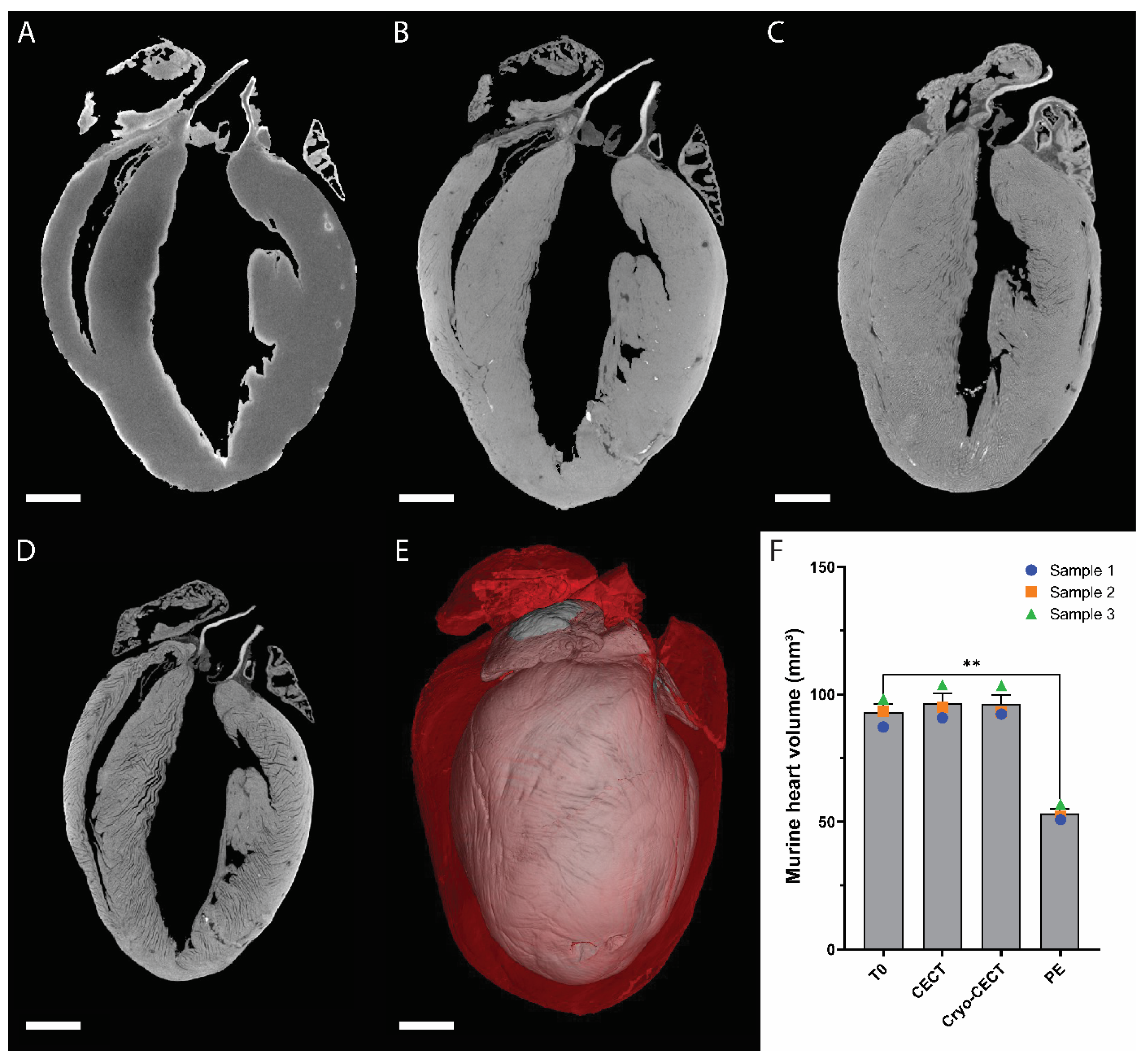 Hearts 05 00002 g001 Hearts 05 00002 g001
