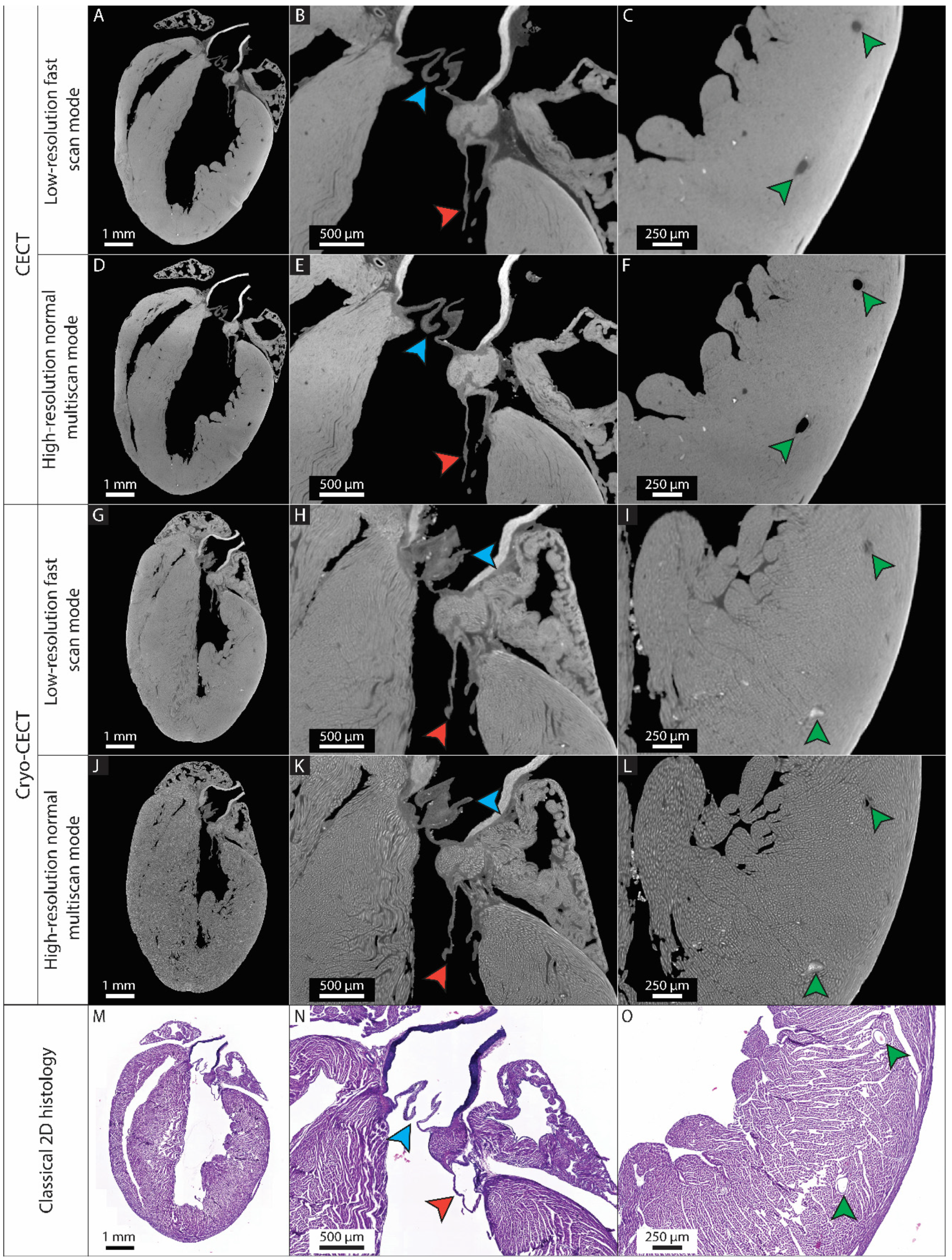 Hearts 05 00002 g002 Hearts 05 00002 g002