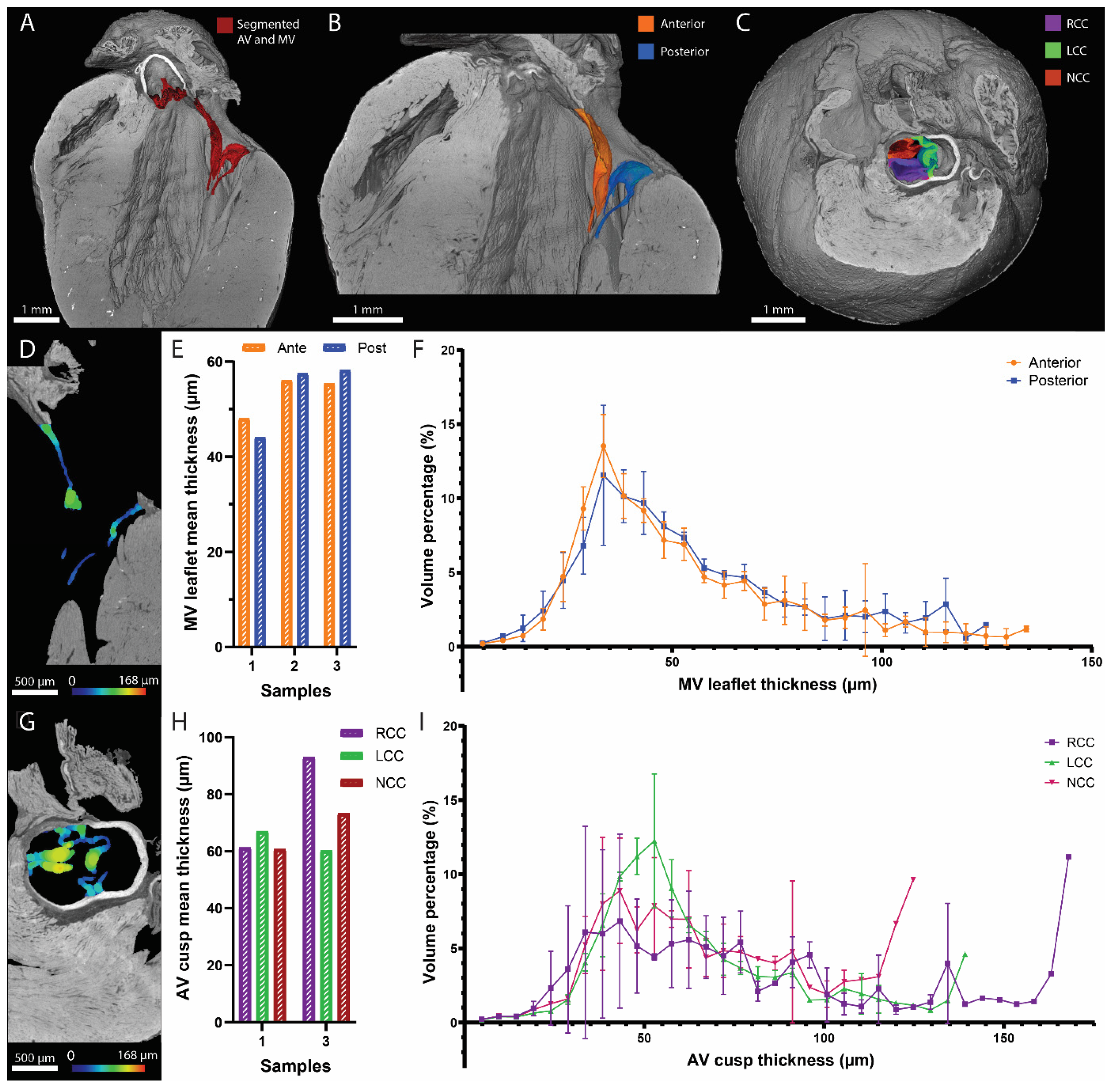 Hearts 05 00002 g004 Hearts 05 00002 g004