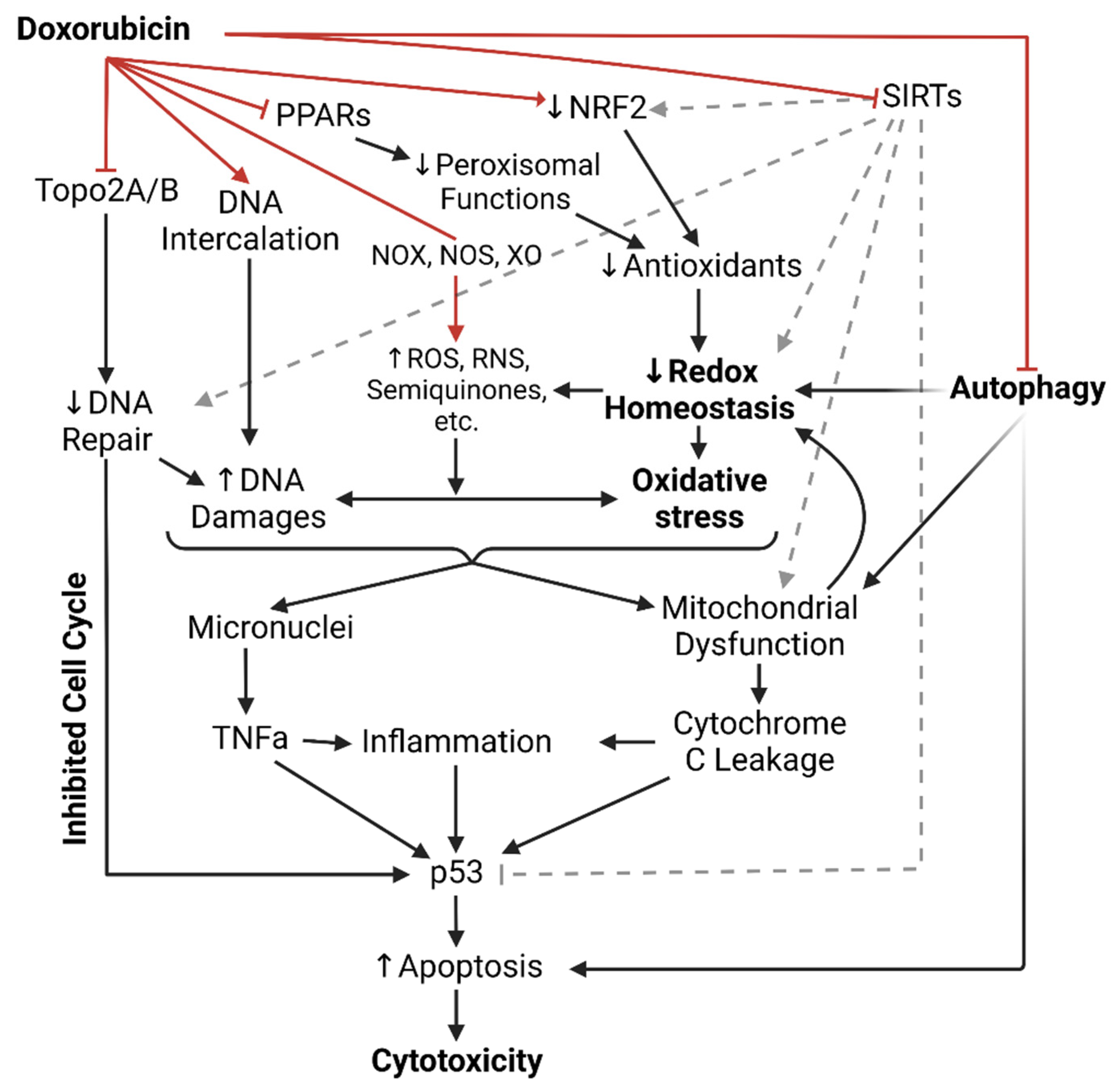 Hearts 05 00005 g001