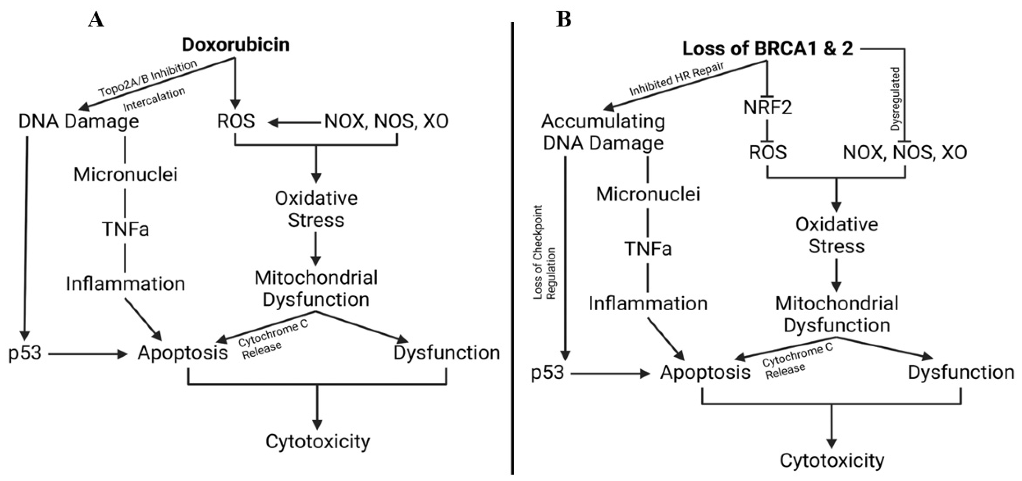 Hearts 05 00005 g004