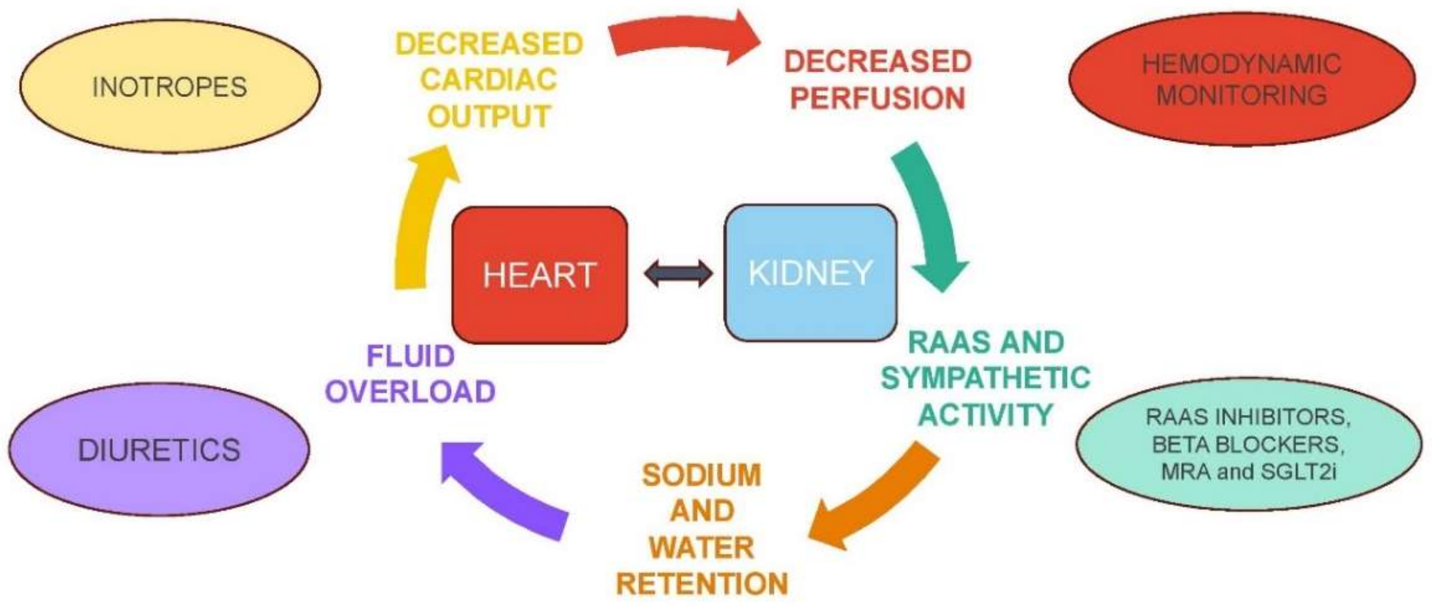 Strategies for the Management of Cardiorenal Syndrome in the Acute 