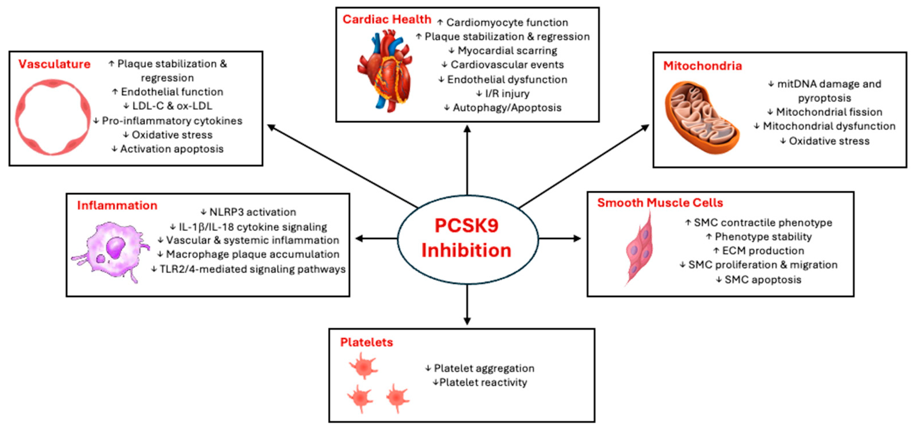 Hearts 05 00027 g002