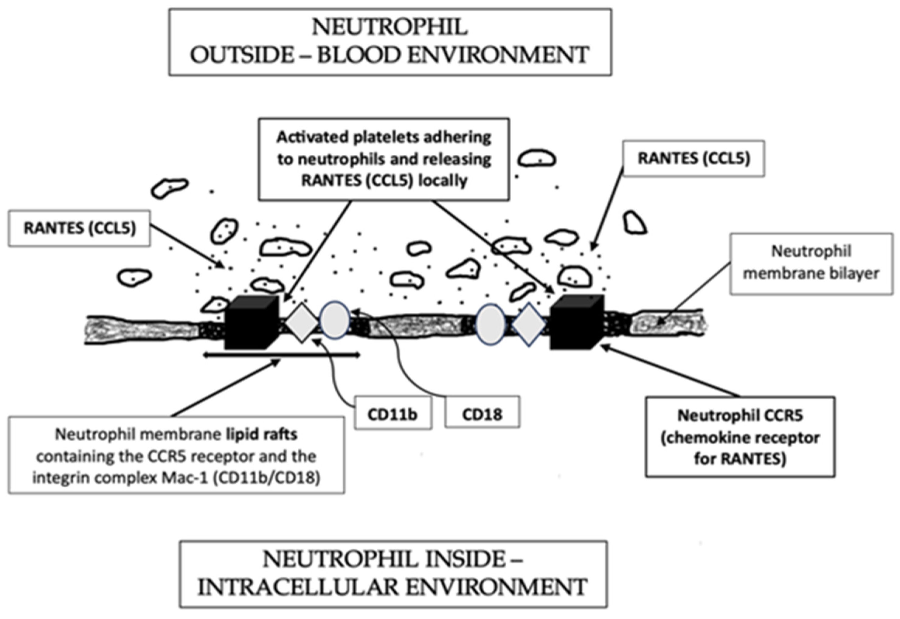 Hearts 05 00029 g002