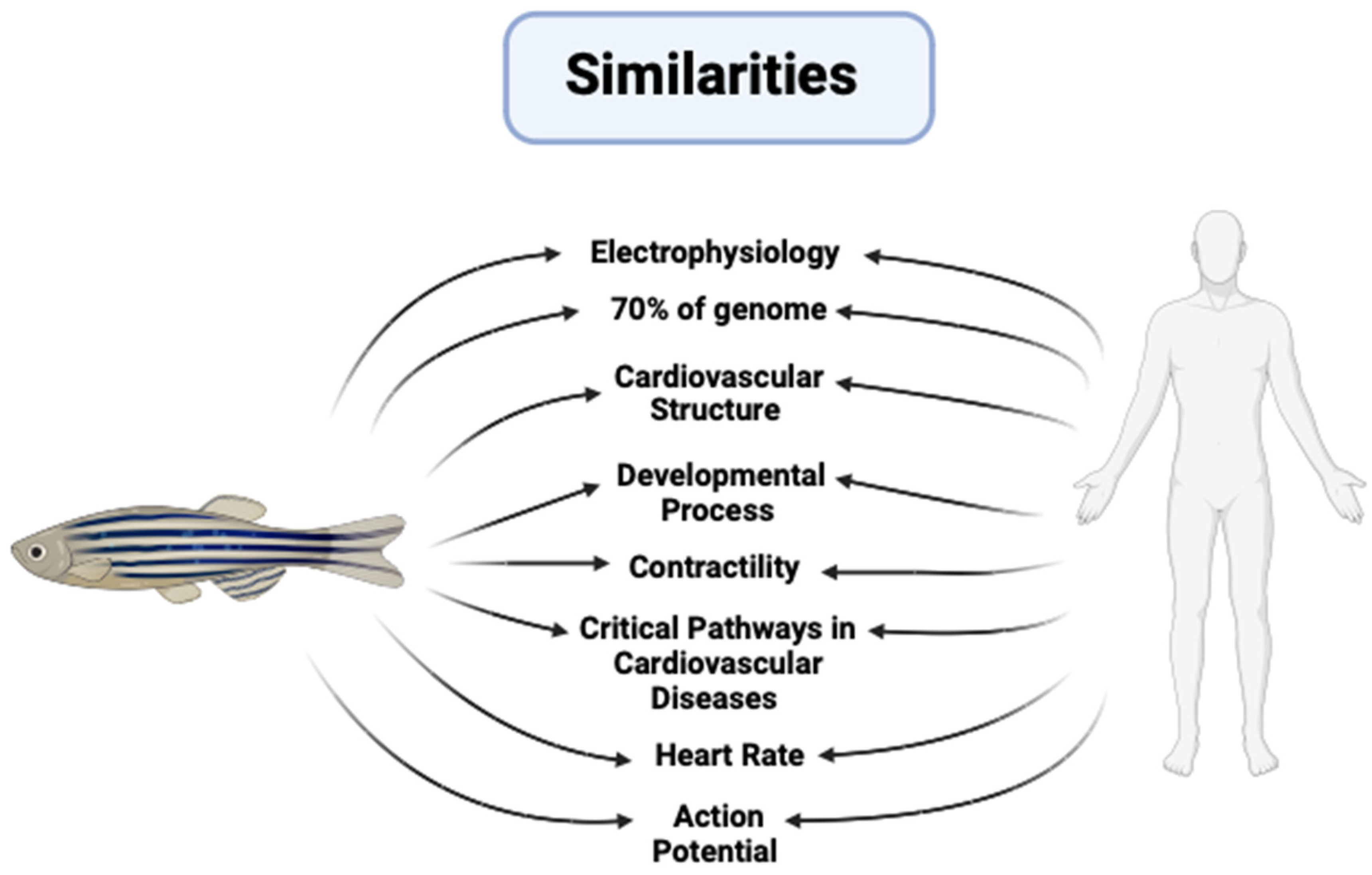 Hearts 05 00031 g003