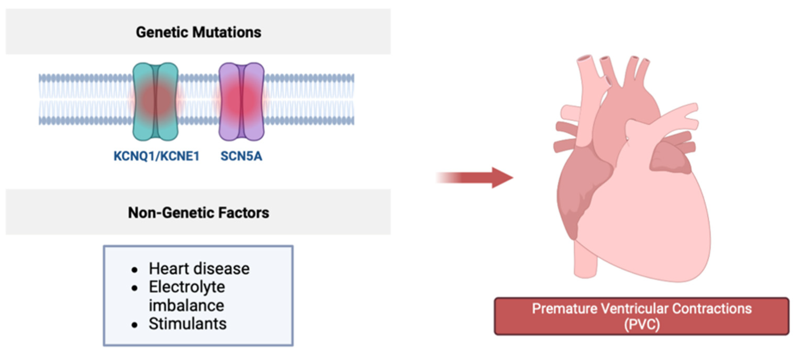 Hearts 05 00038 g002 Hearts 05 00038 g002