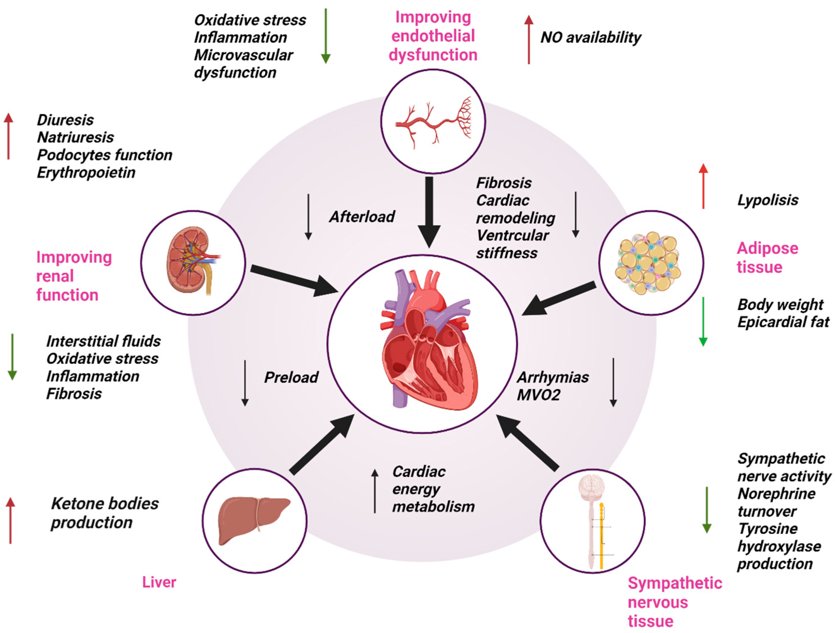 Hearts 05 00039 g001